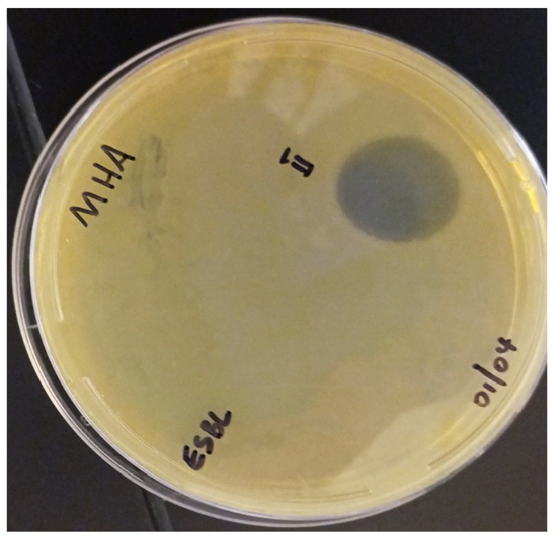 Pharmaceutics 16 00850 g005 Pharmaceutics 16 00850 g005
