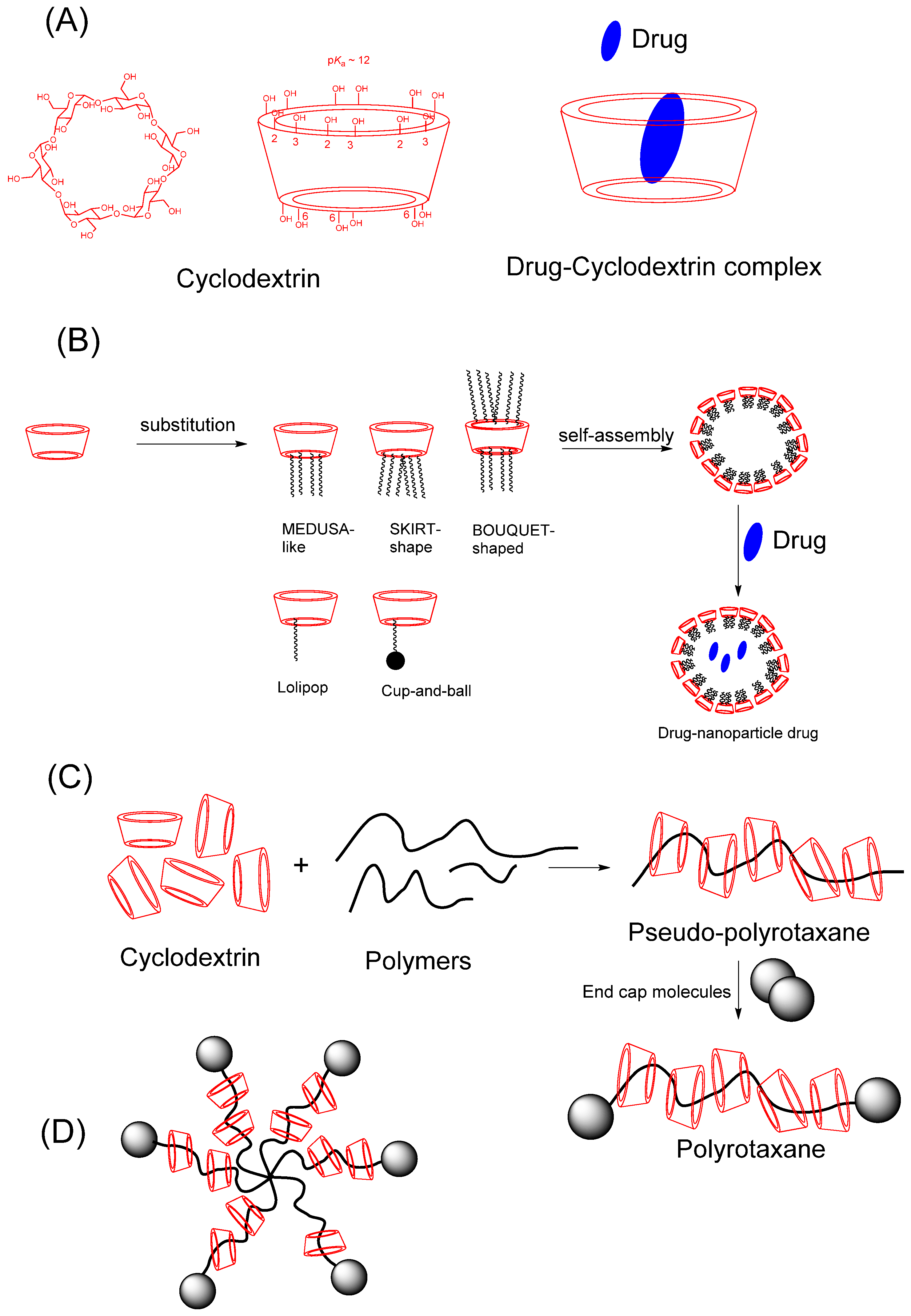 Pharmaceutics 16 00852 g002 Pharmaceutics 16 00852 g002