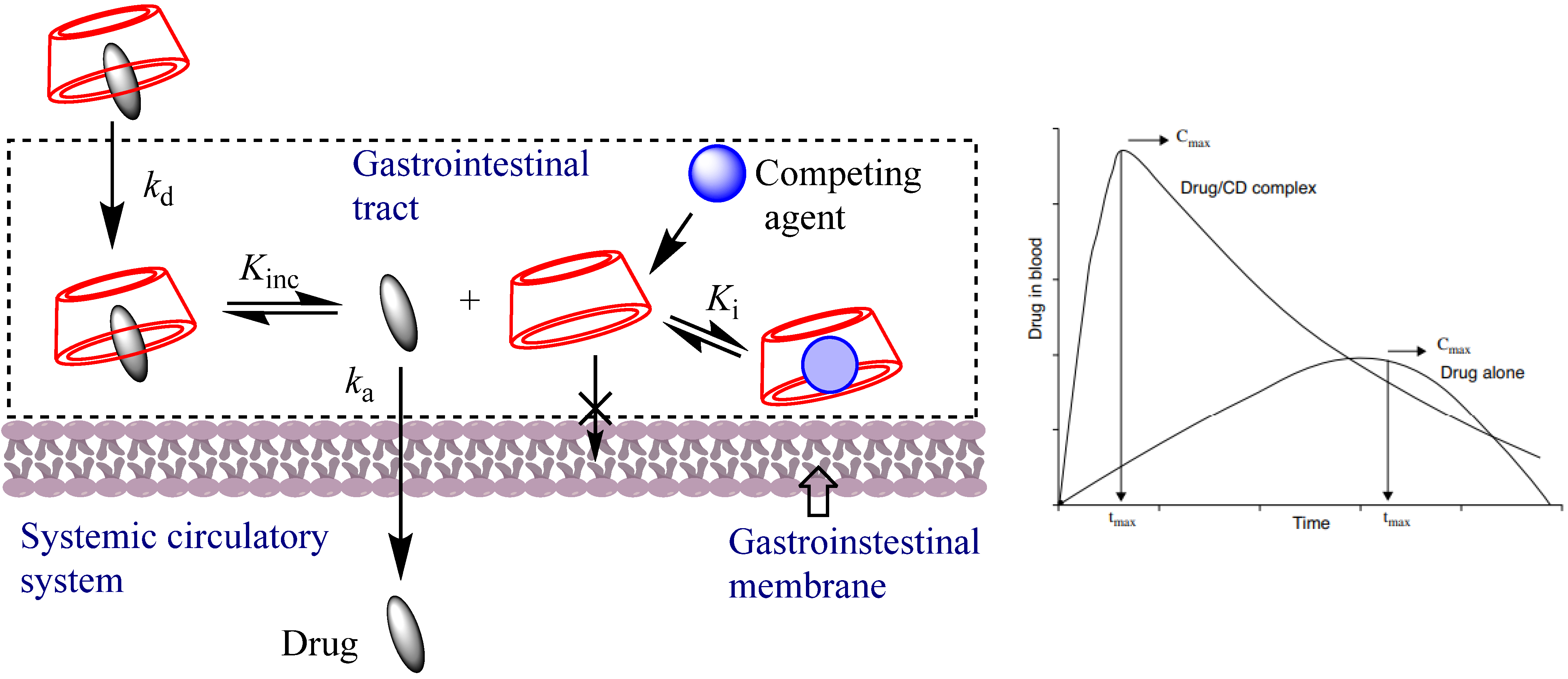 Pharmaceutics 16 00852 g003 Pharmaceutics 16 00852 g003
