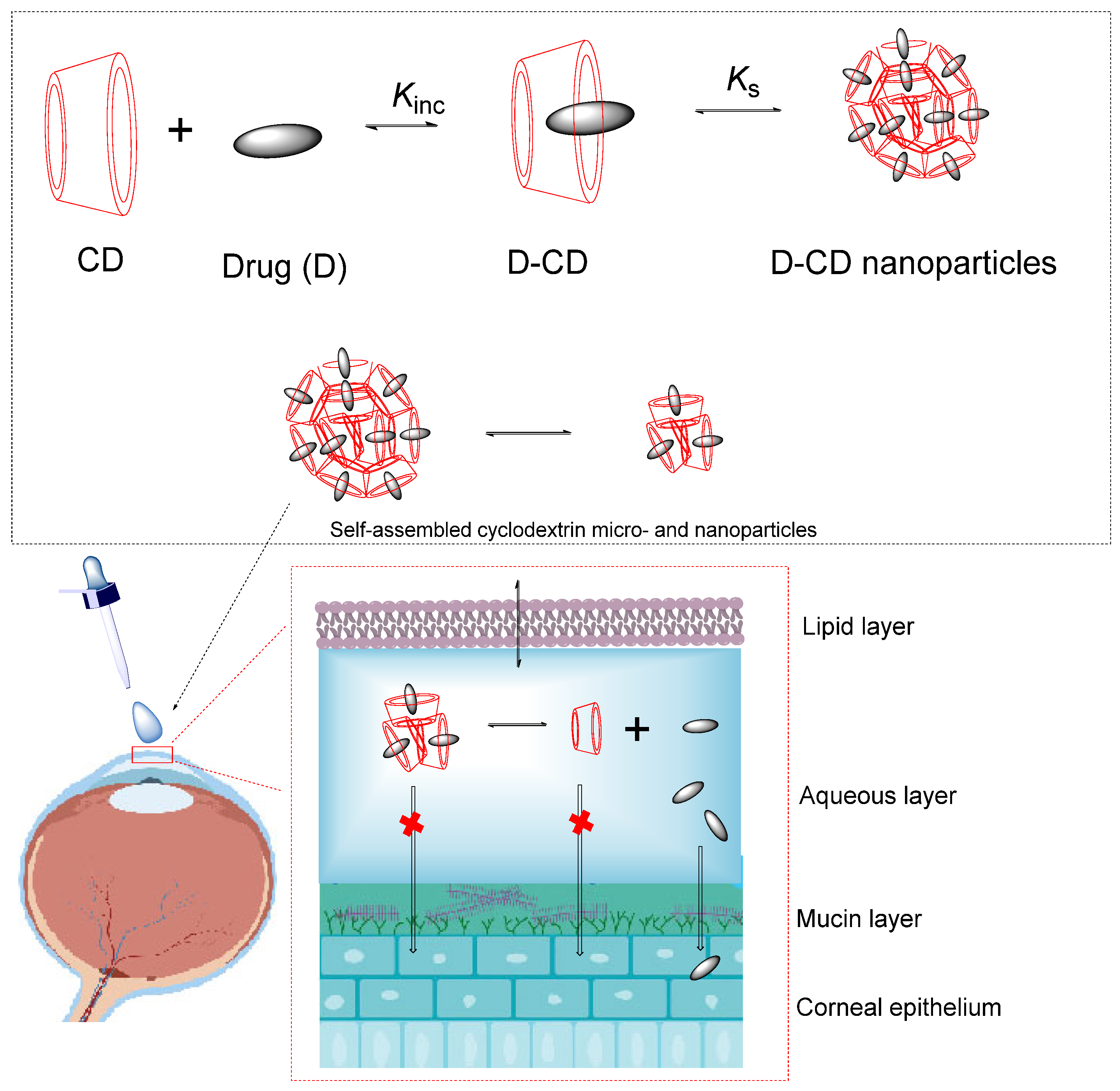 Pharmaceutics 16 00852 g004 Pharmaceutics 16 00852 g004