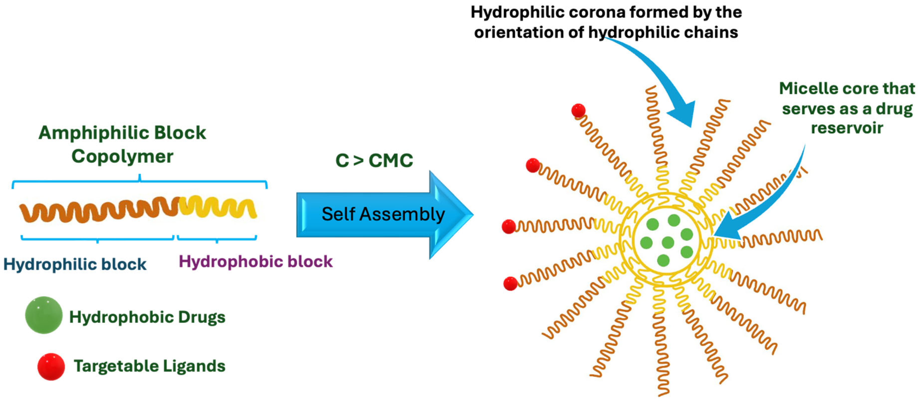 Pharmaceutics 16 00852 g010 Pharmaceutics 16 00852 g010