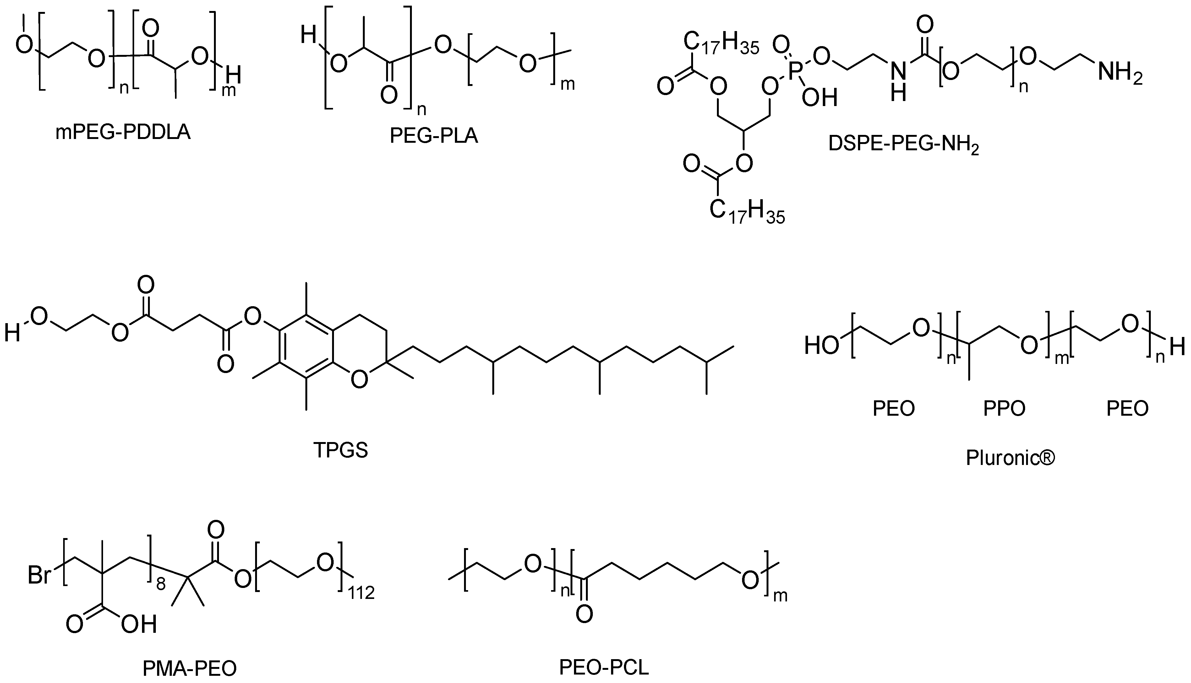 Pharmaceutics 16 00852 g011 Pharmaceutics 16 00852 g011