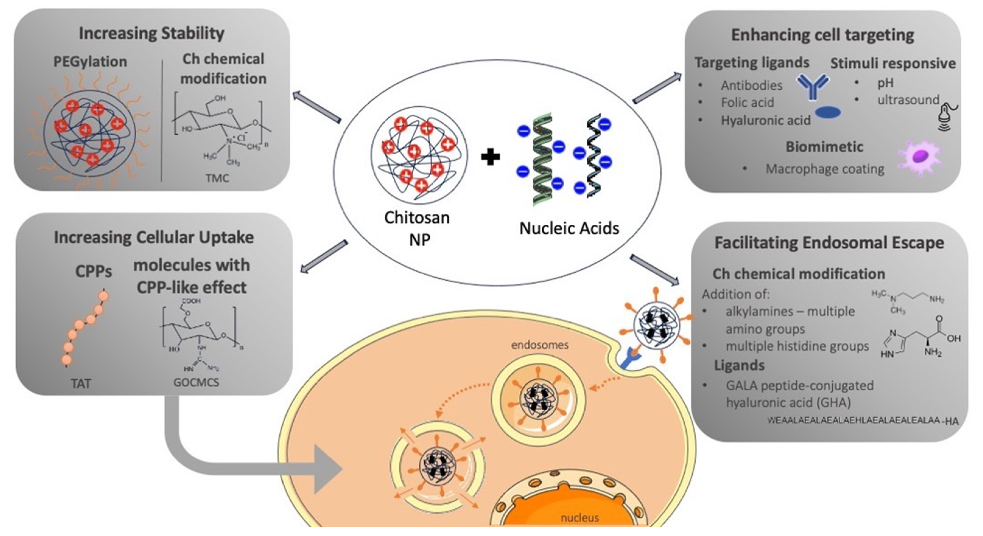 Pharmaceutics 16 00868 g002
