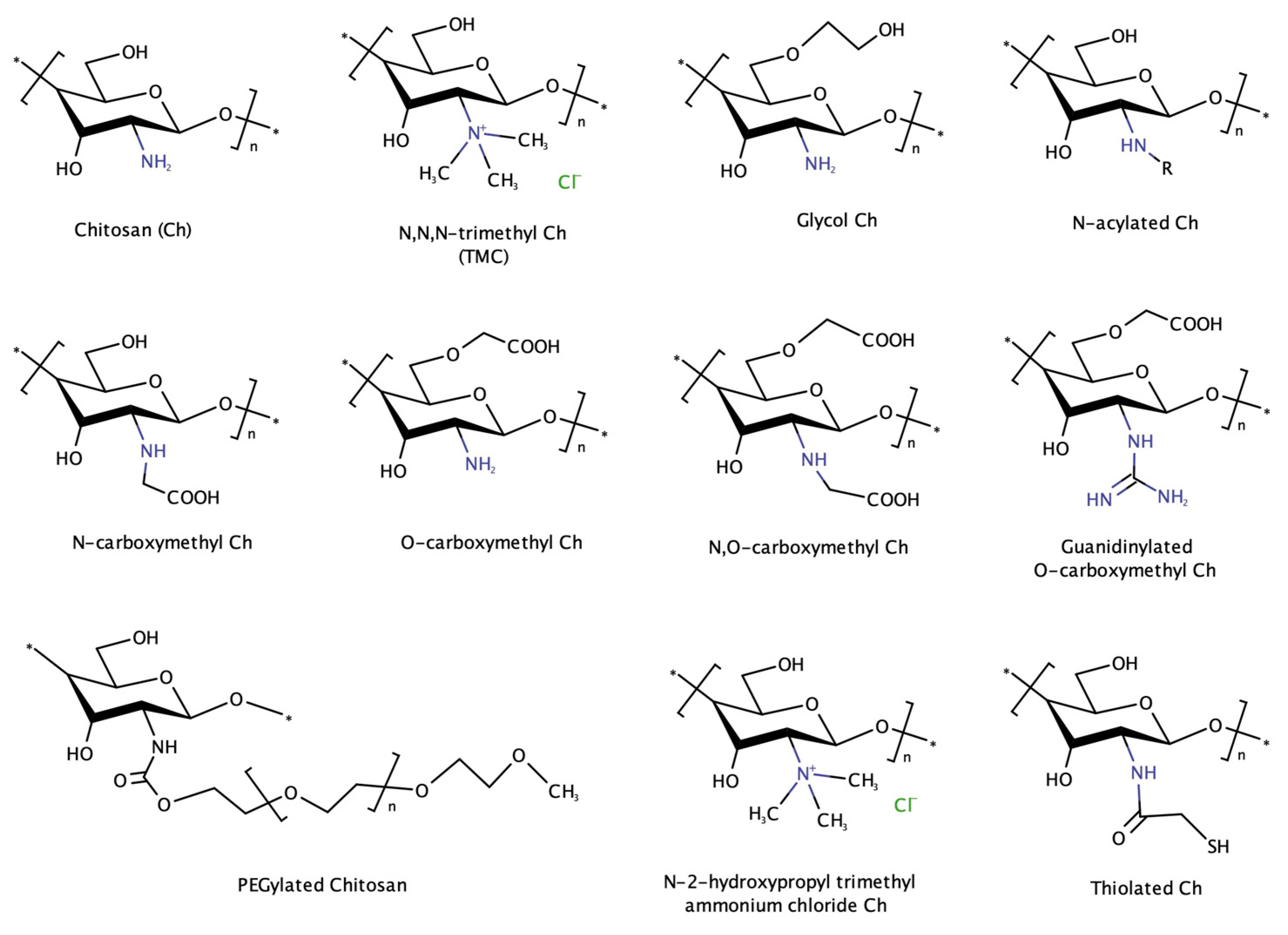 Pharmaceutics 16 00868 g003
