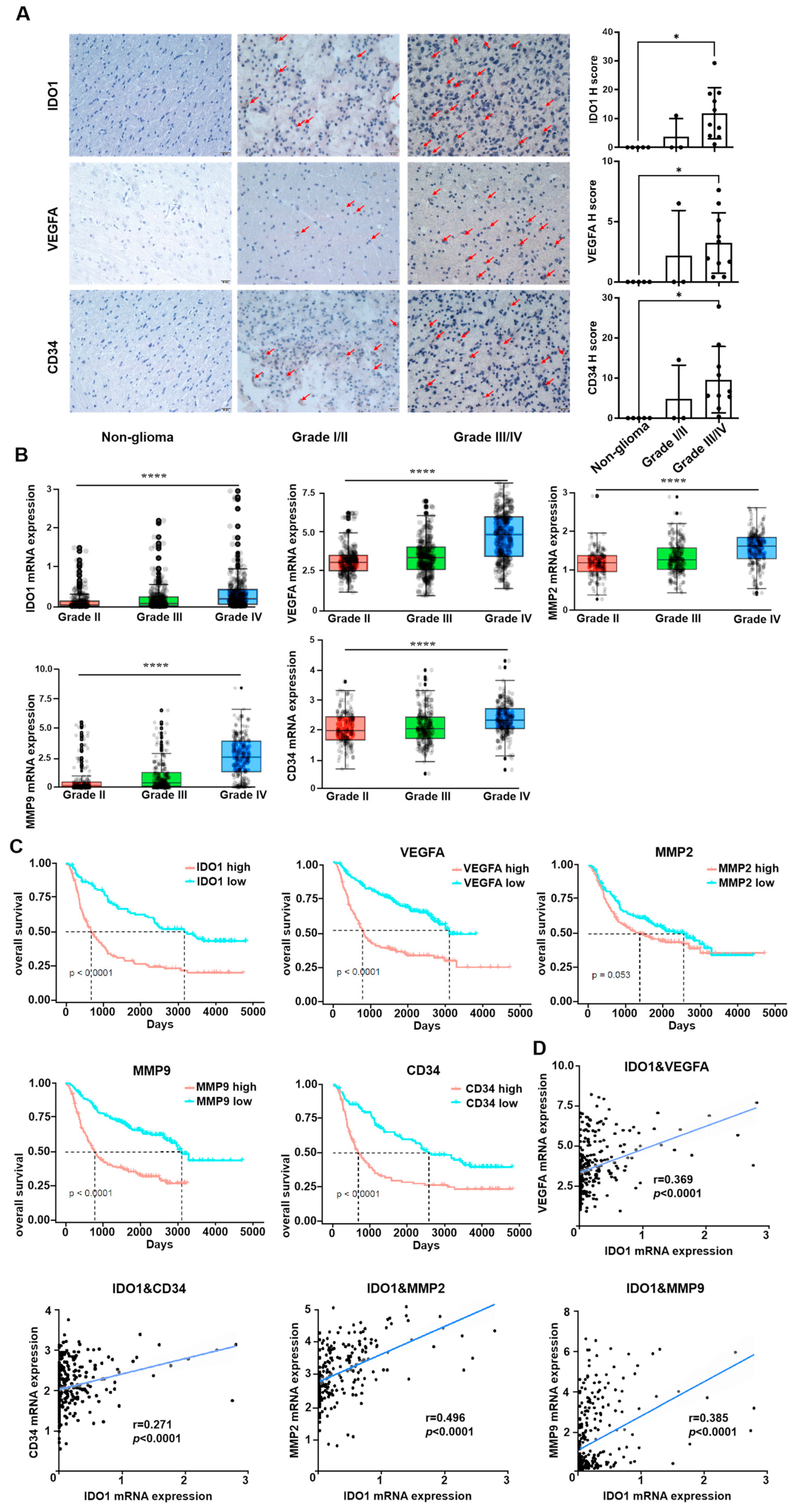 Pharmaceutics 16 00870 g001