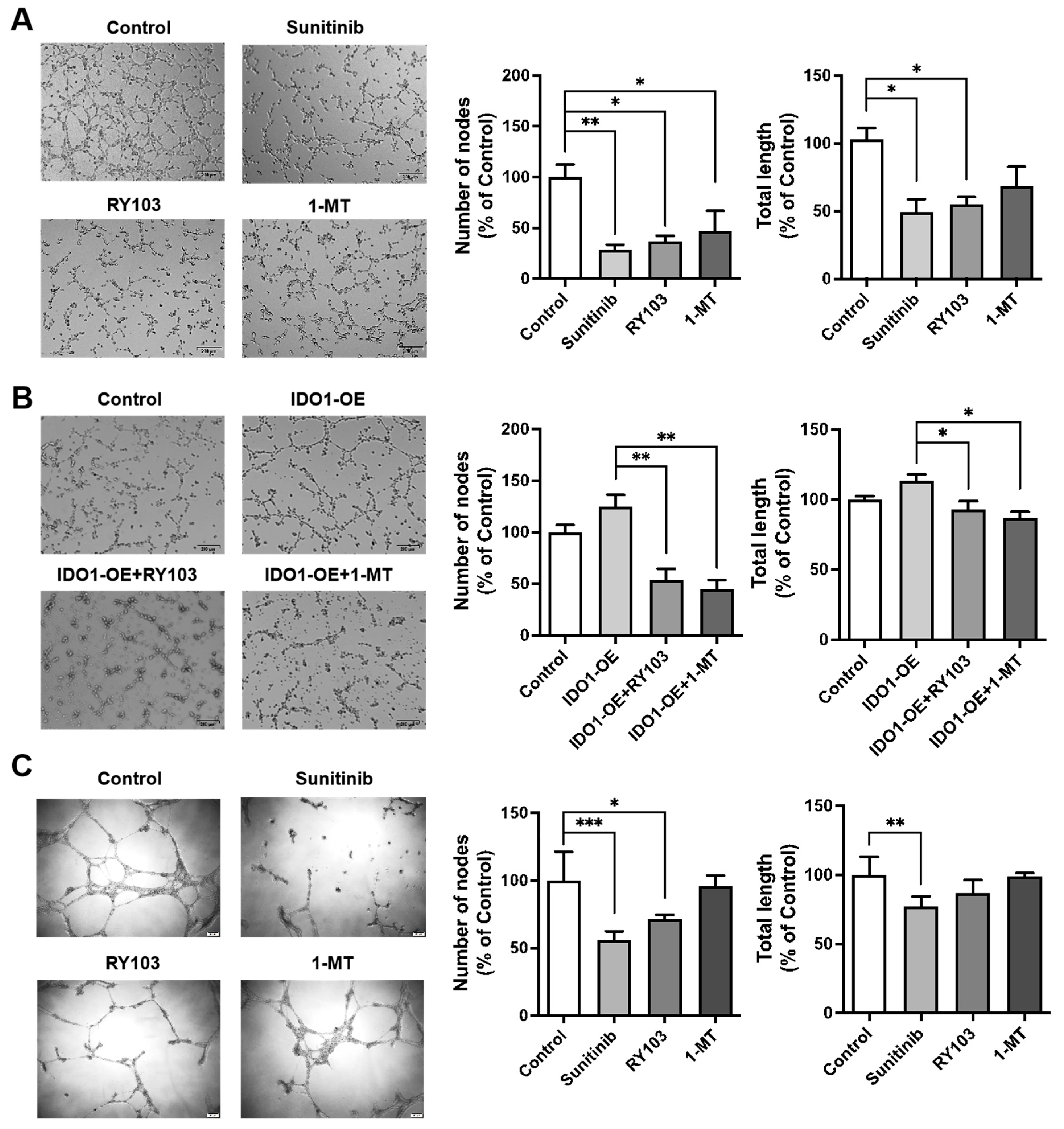 Pharmaceutics 16 00870 g003
