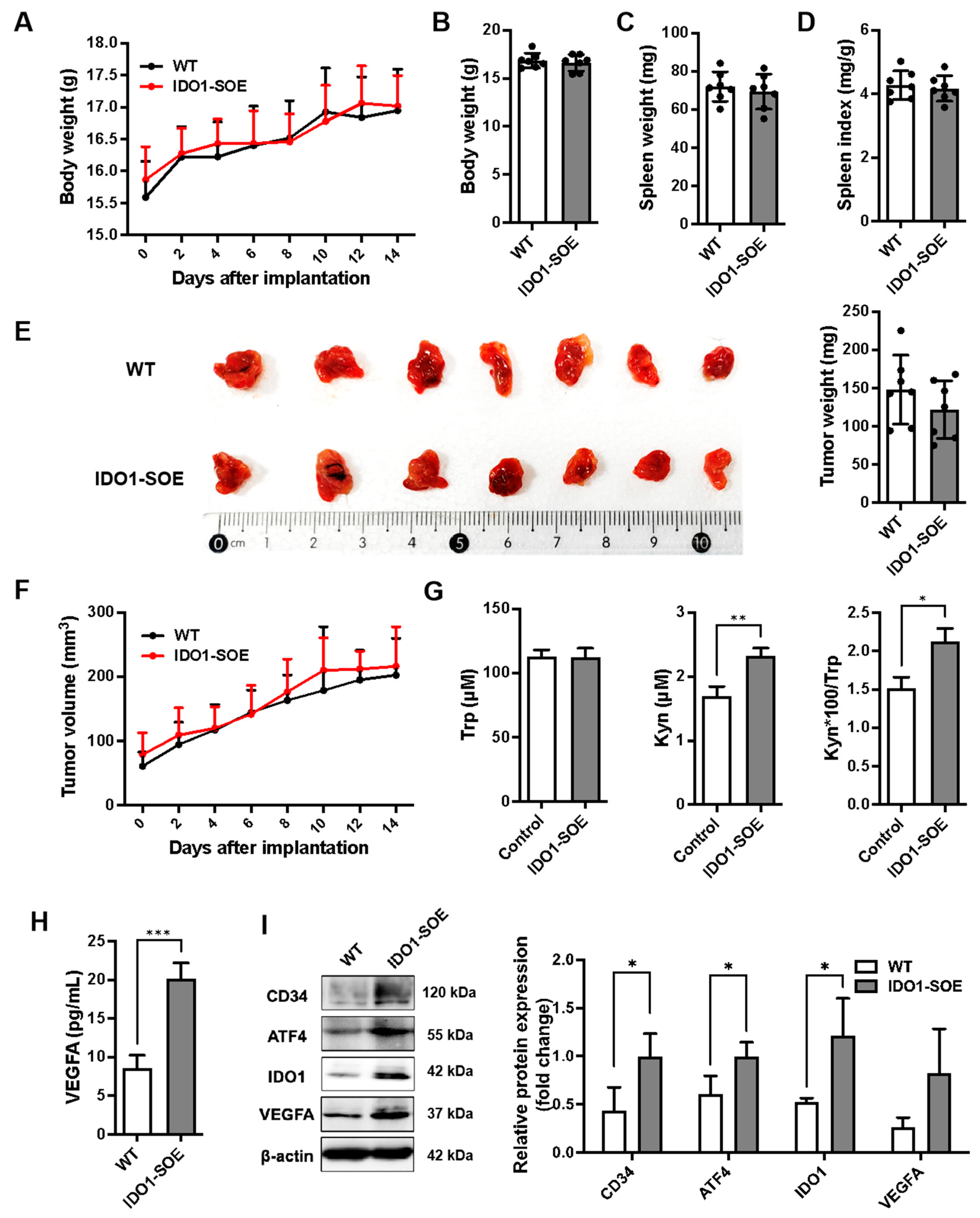 Pharmaceutics 16 00870 g004
