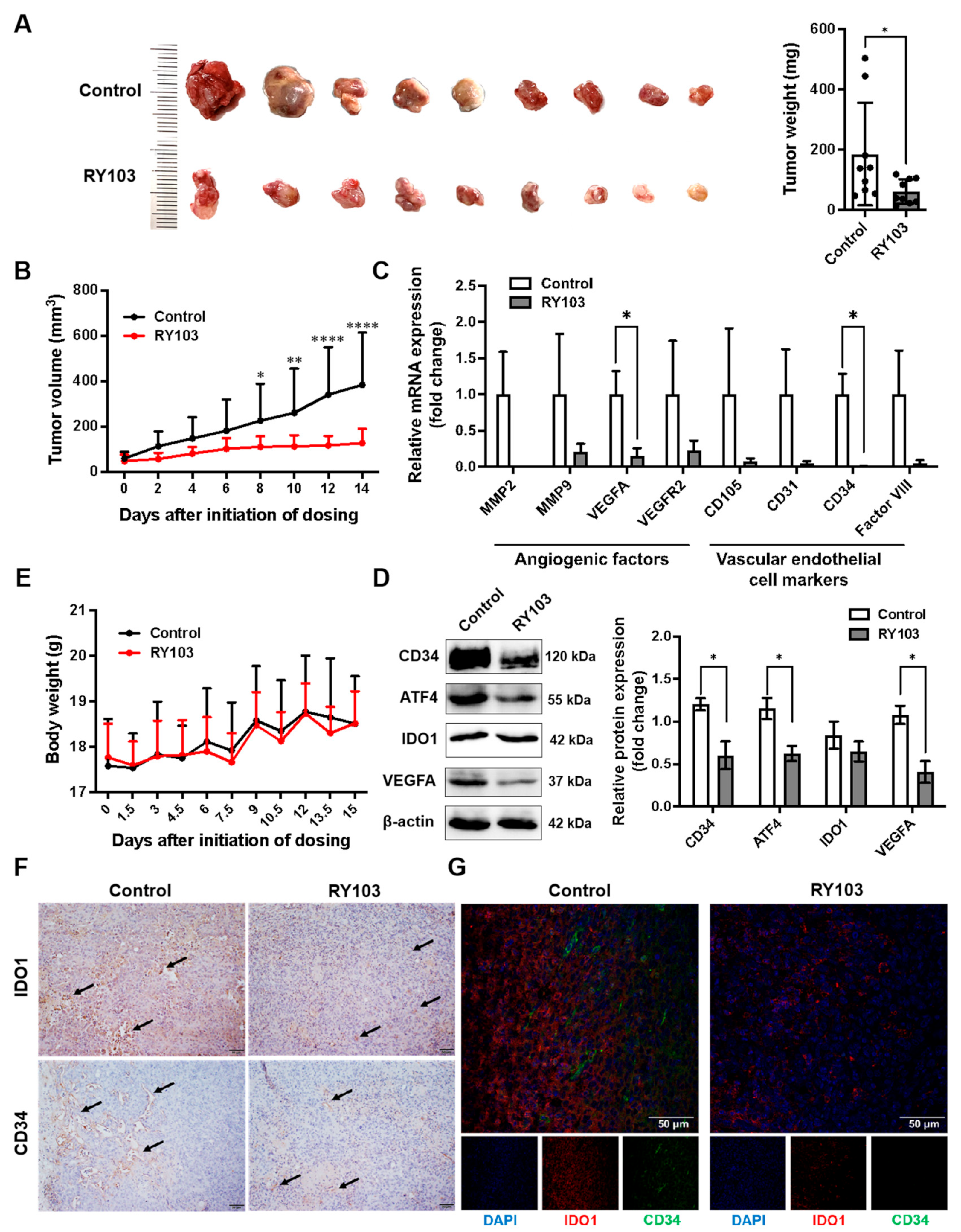 Pharmaceutics 16 00870 g005