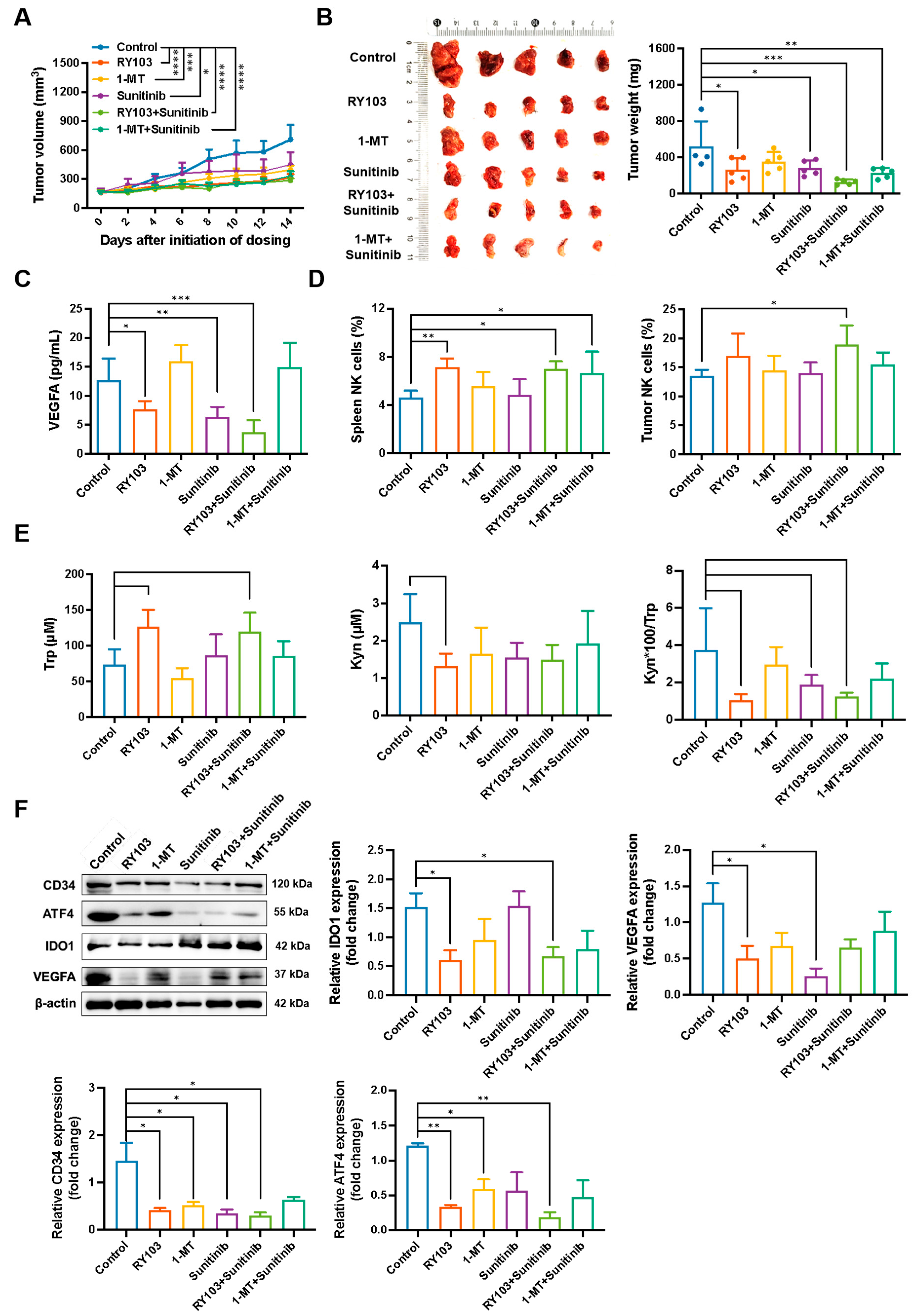 Pharmaceutics 16 00870 g007