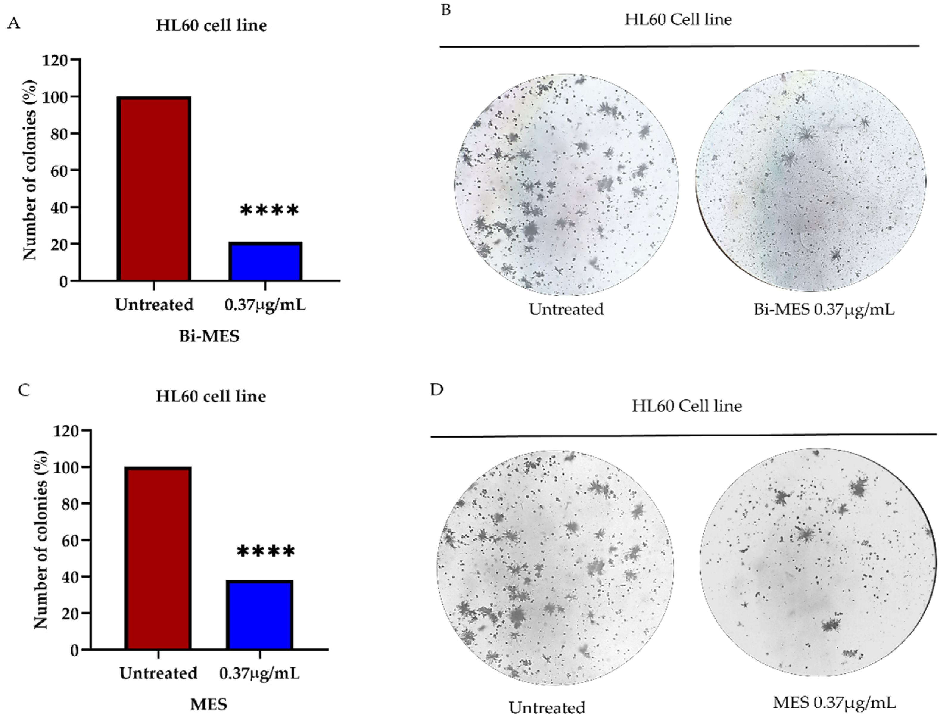 Pharmaceutics 16 00874 g005