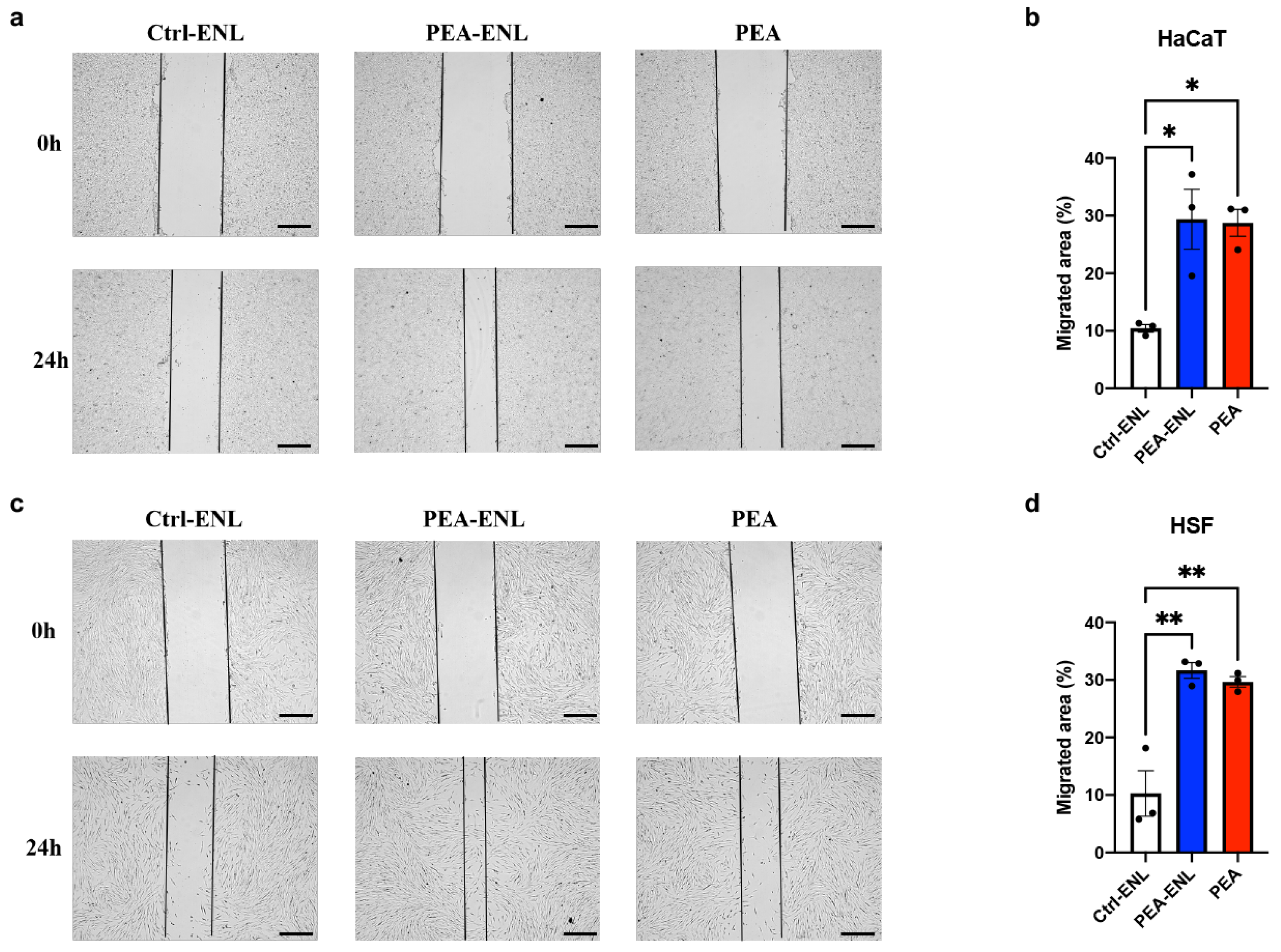 Pharmaceutics 16 00876 g002