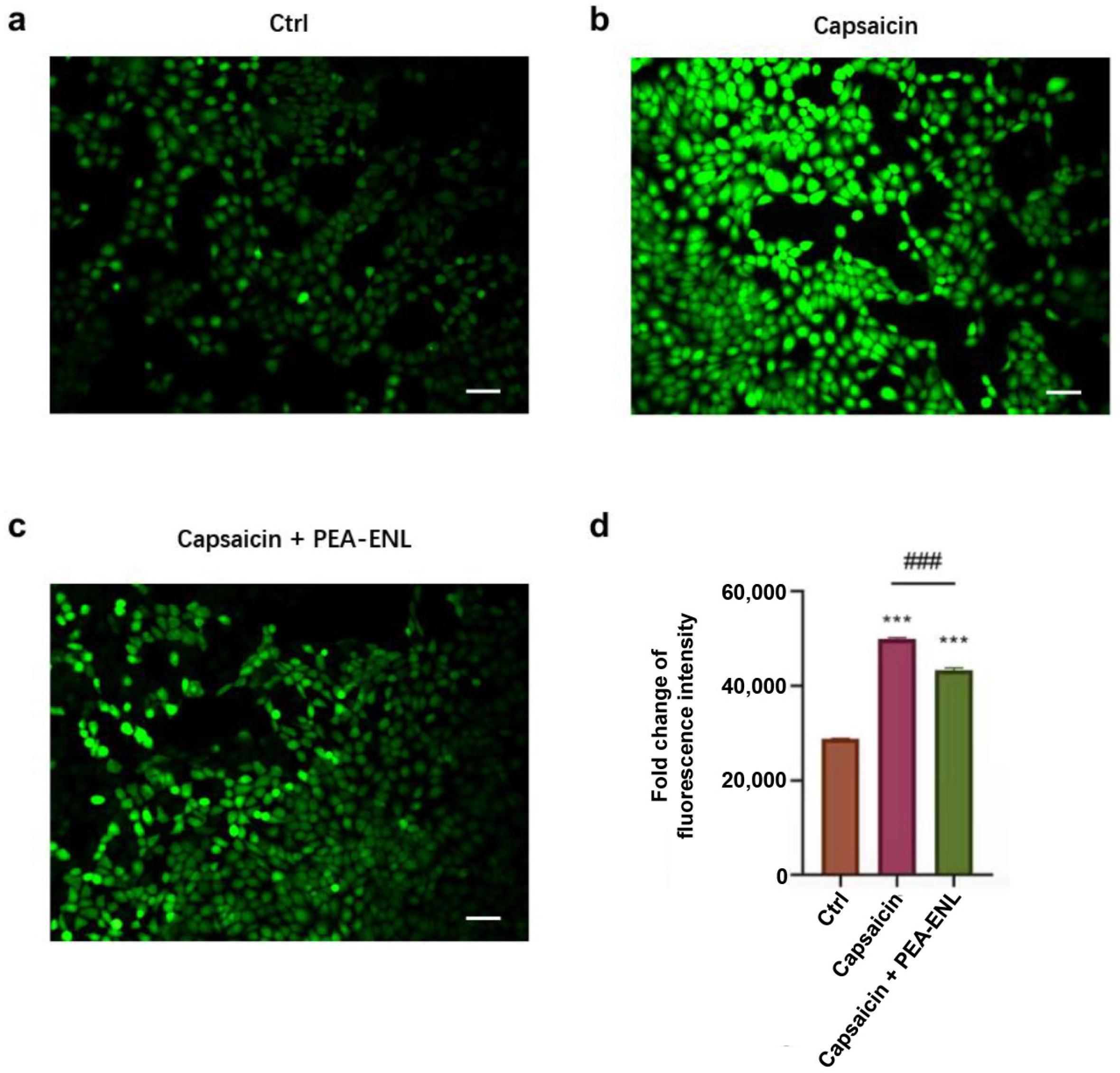 Pharmaceutics 16 00876 g004
