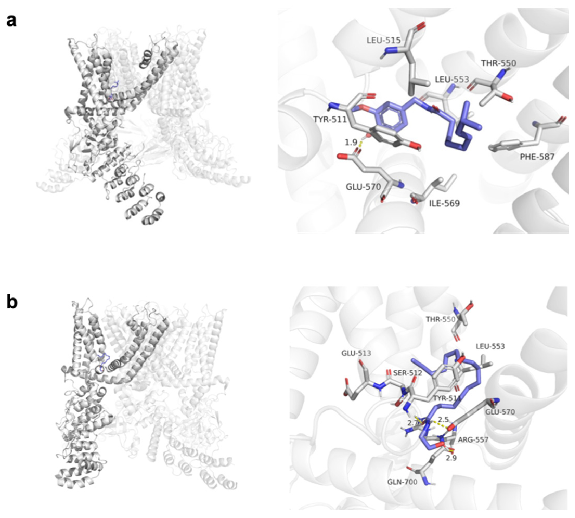 Pharmaceutics 16 00876 g005
