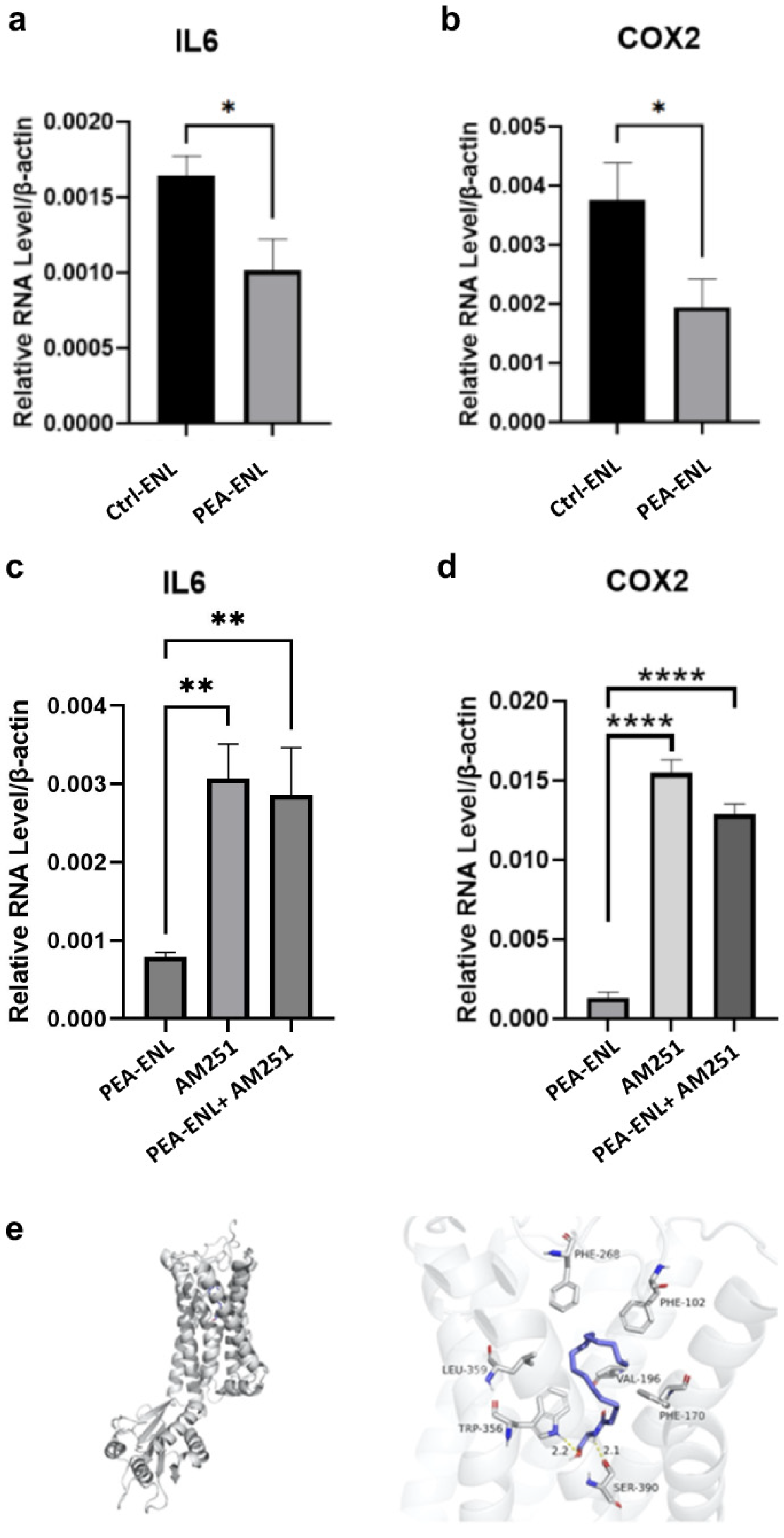 Pharmaceutics 16 00876 g006
