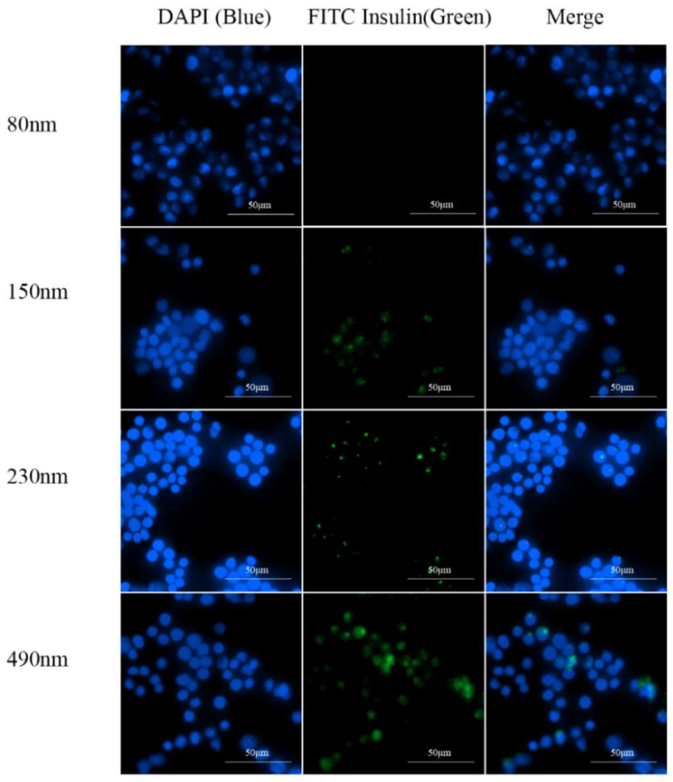 Pharmaceutics 16 00879 g006