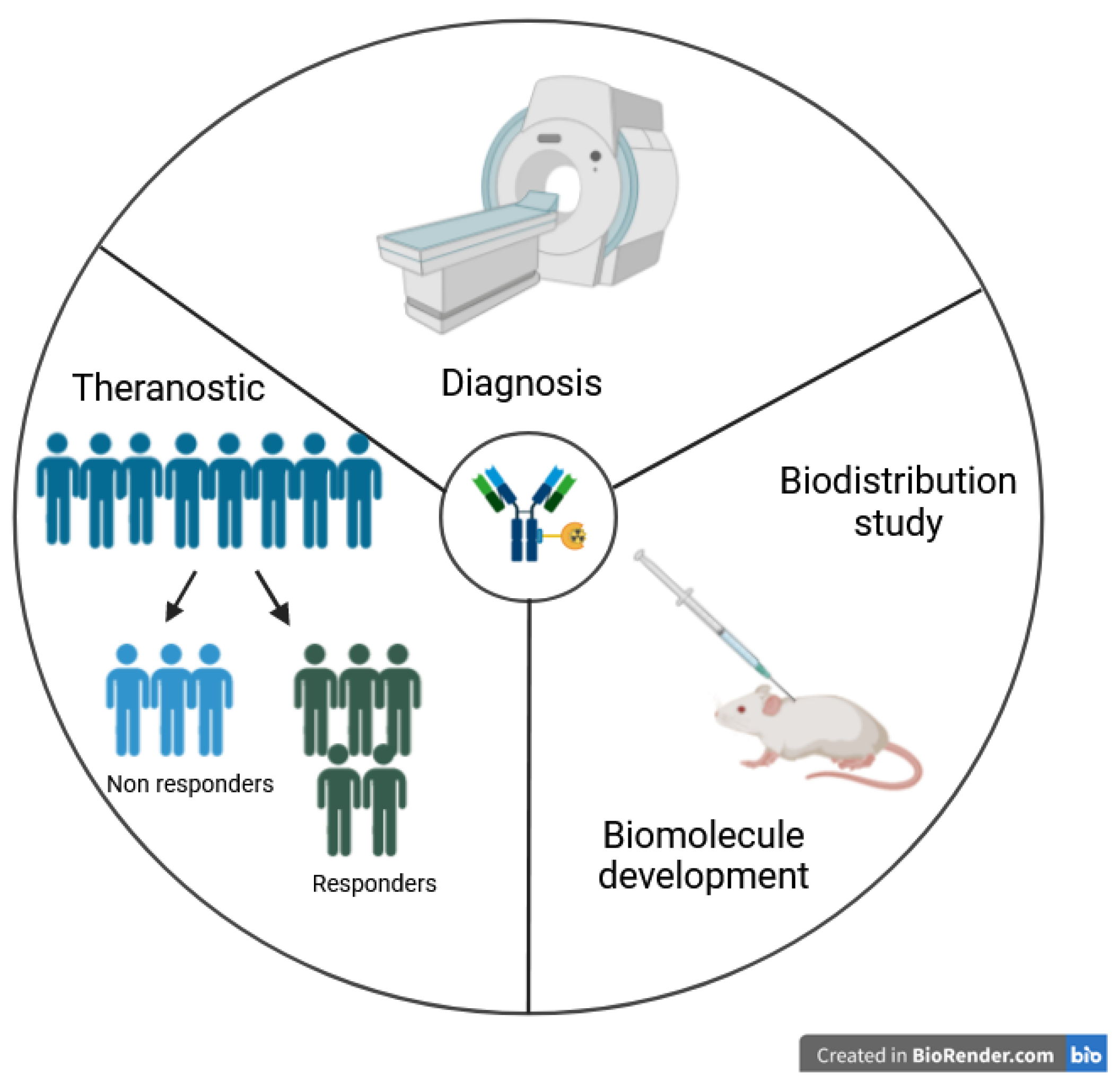 Pharmaceutics 16 00882 g001