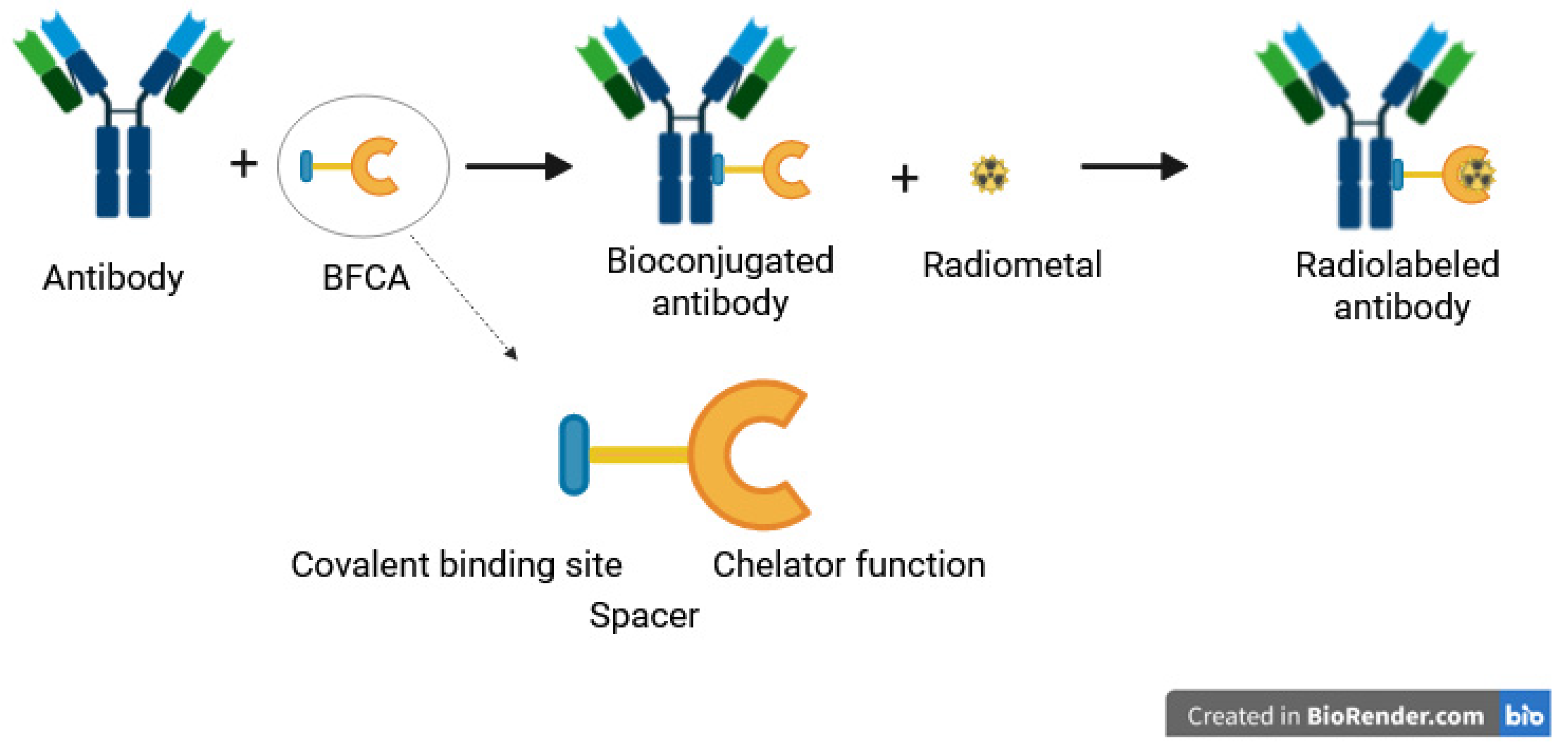 Pharmaceutics 16 00882 g002