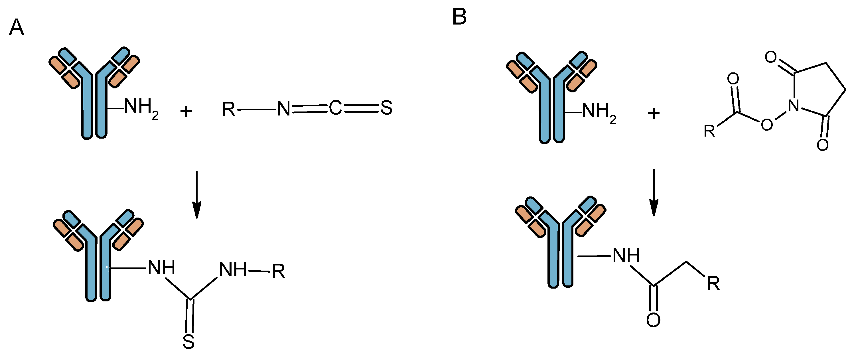 Pharmaceutics 16 00882 g003