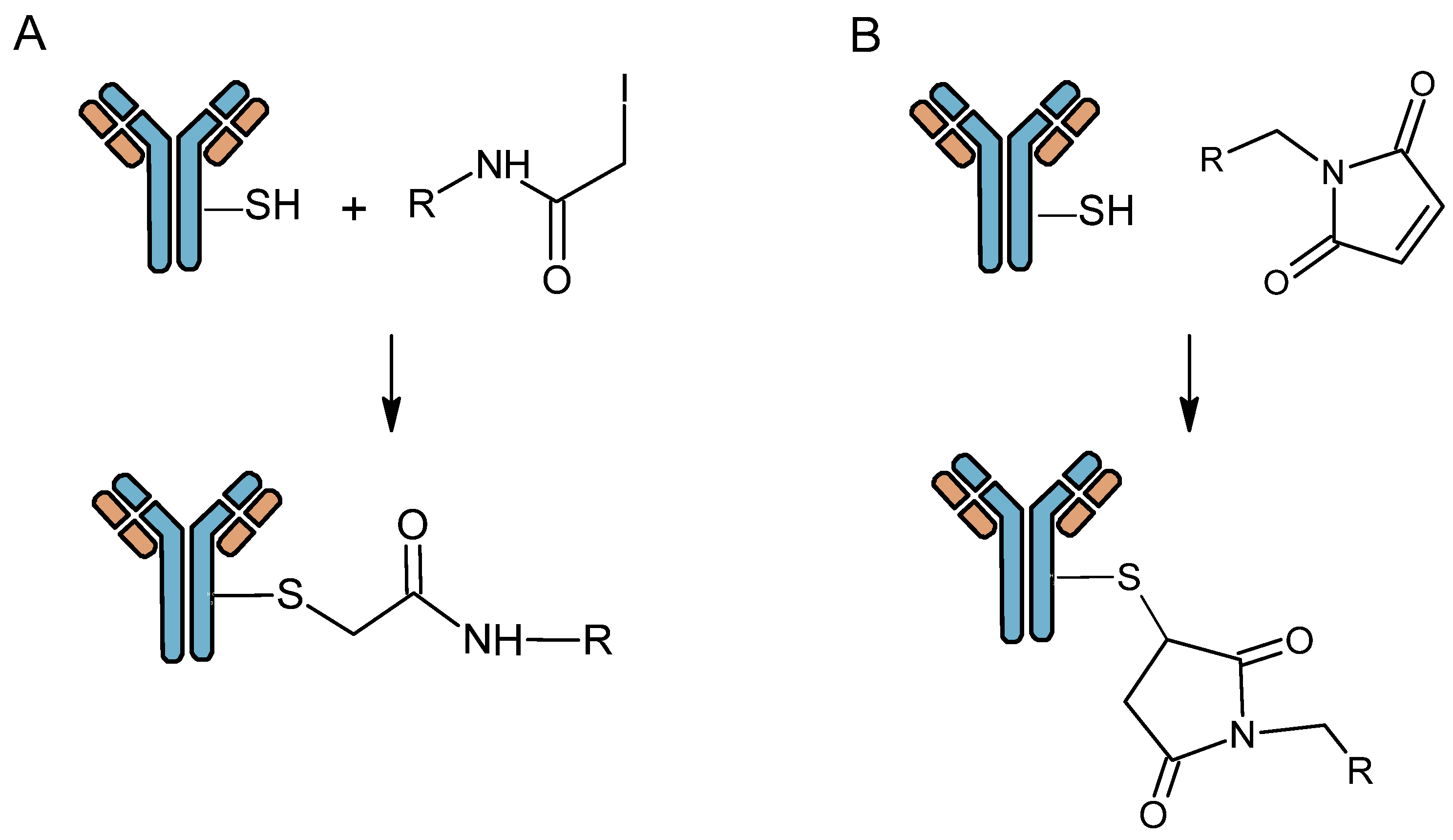Pharmaceutics Free FullText Zirconium 89 and Copper 64 for