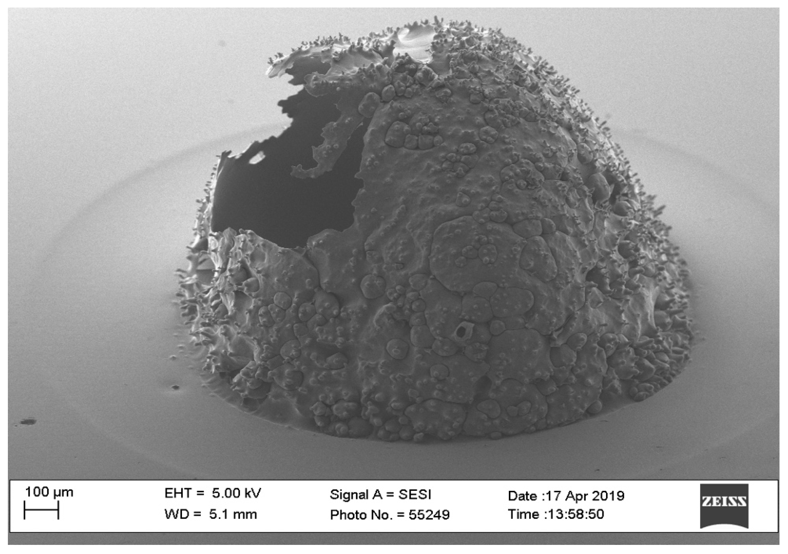 Pharmaceutics 16 00885 g003