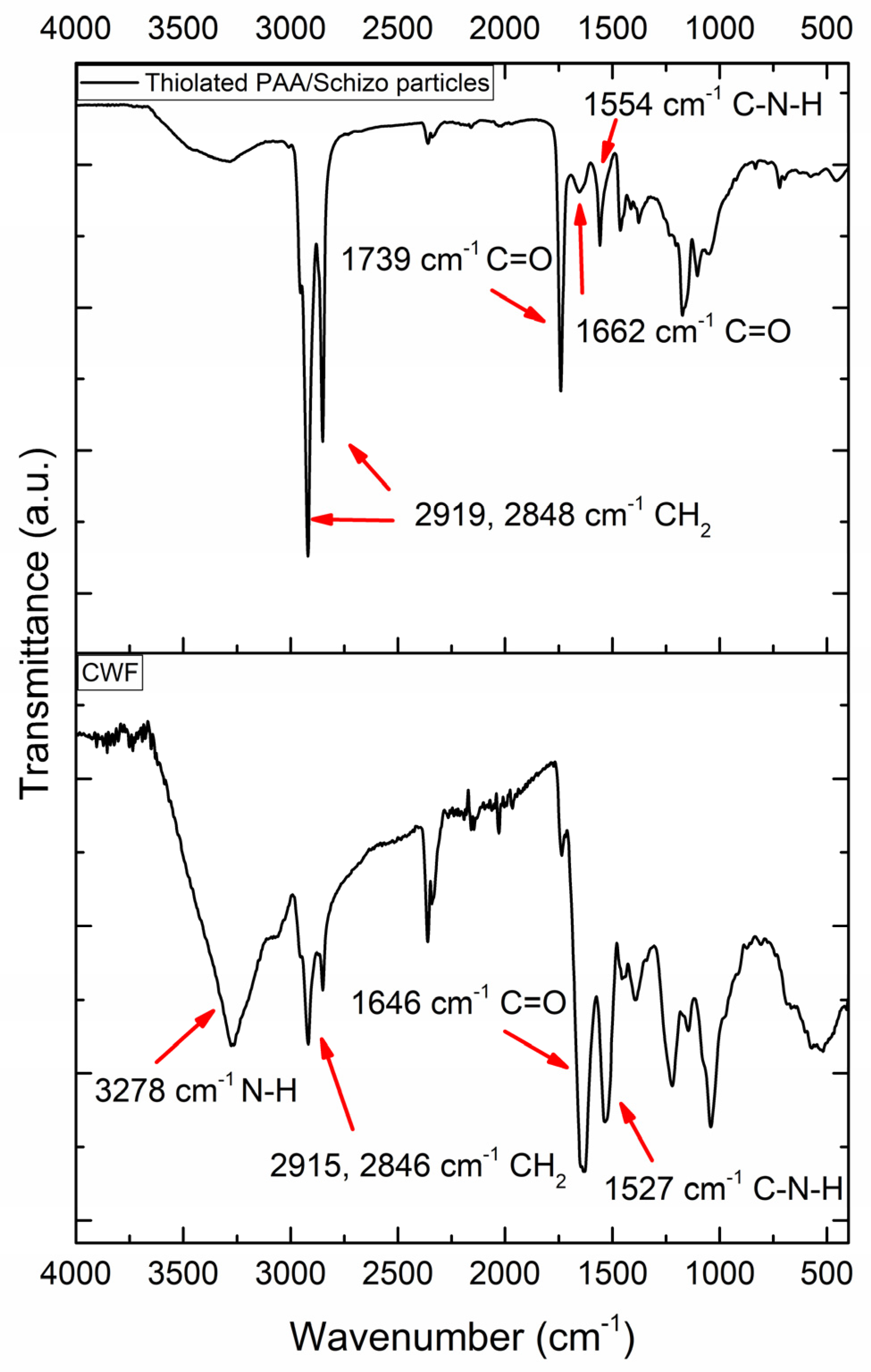 Pharmaceutics 16 00891 g003