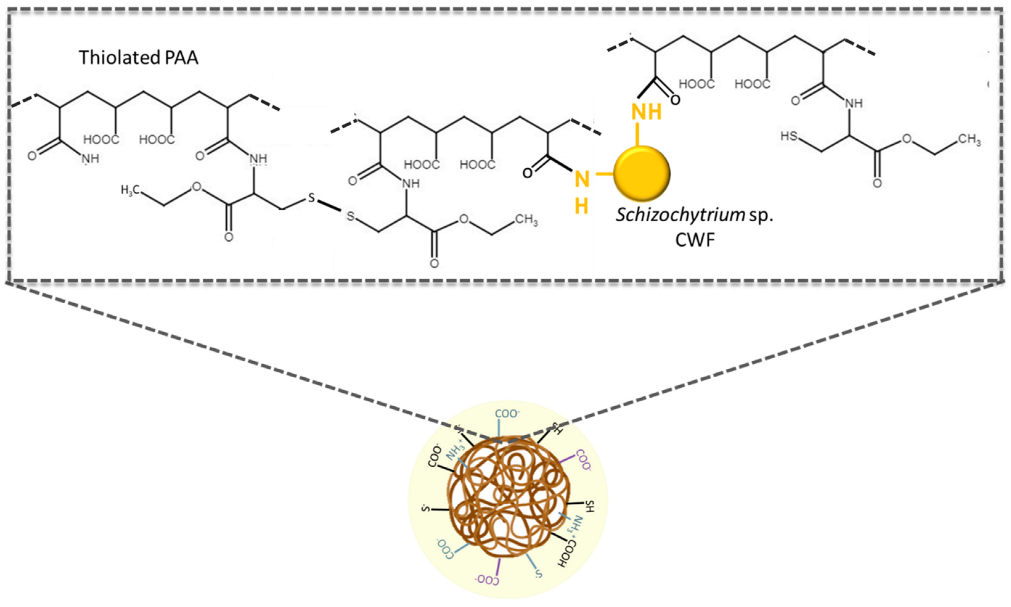Pharmaceutics 16 00891 g005