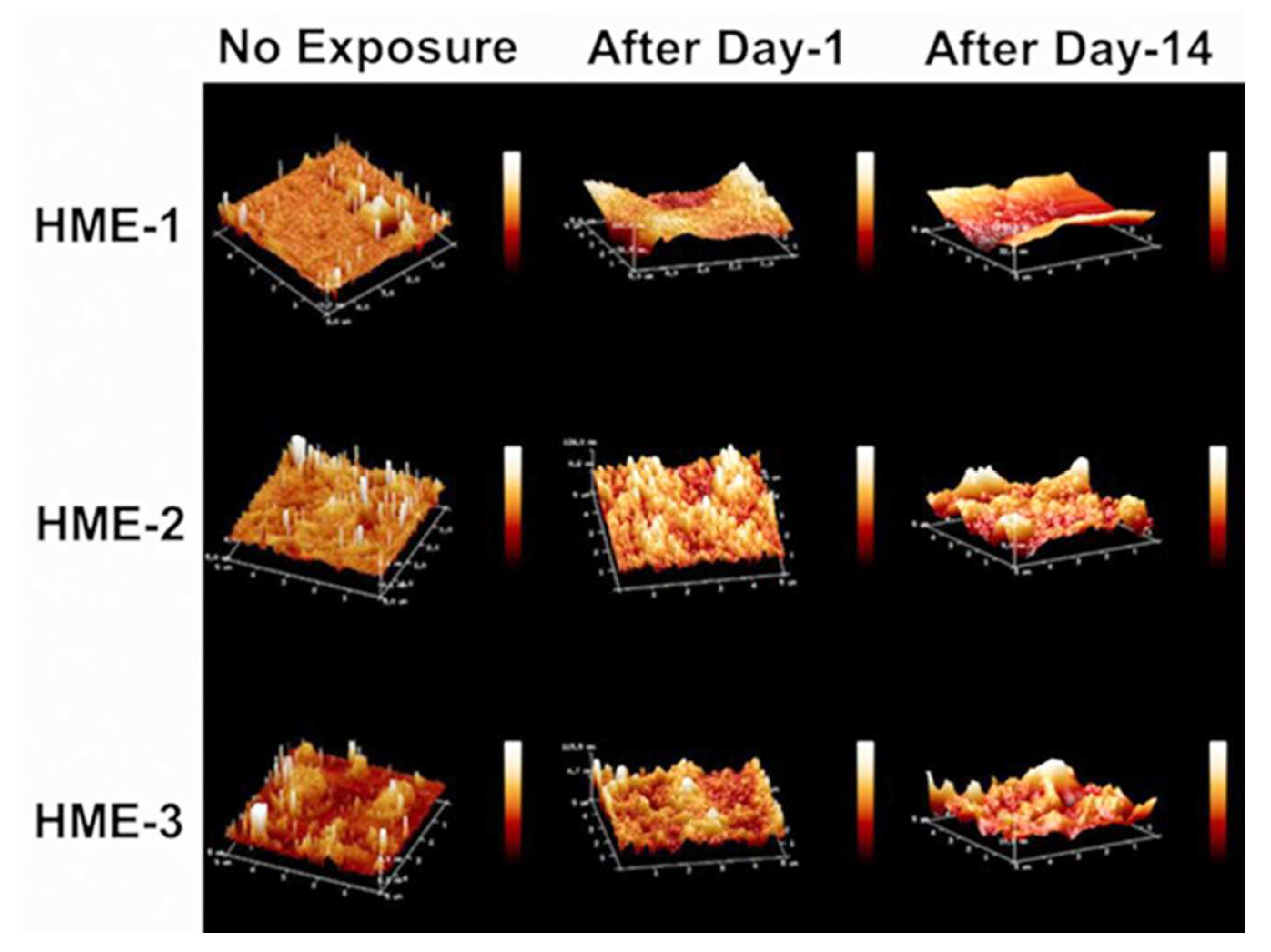 Pharmaceutics 16 00895 g003