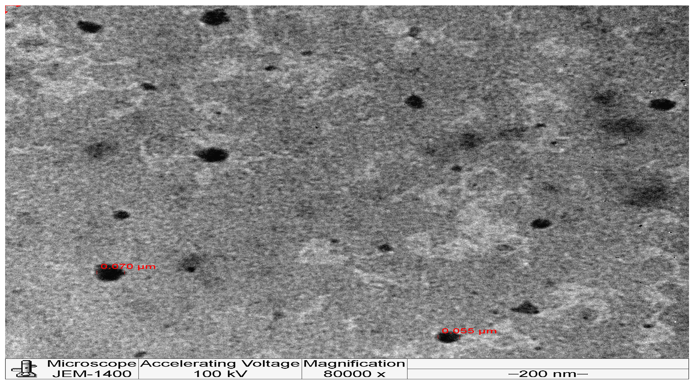 Pharmaceutics 16 00897 g001