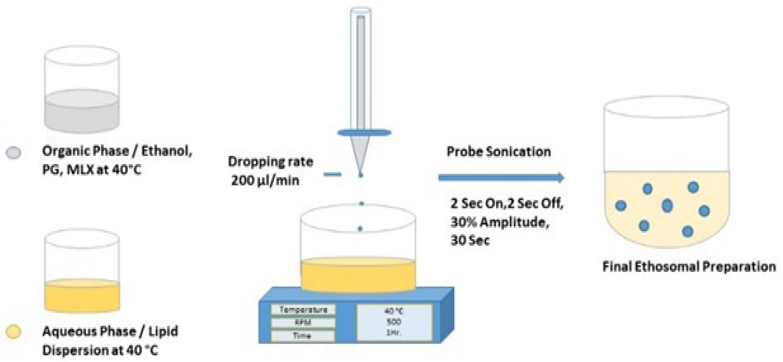 Pharmaceutics 16 00898 g001 Pharmaceutics 16 00898 g001