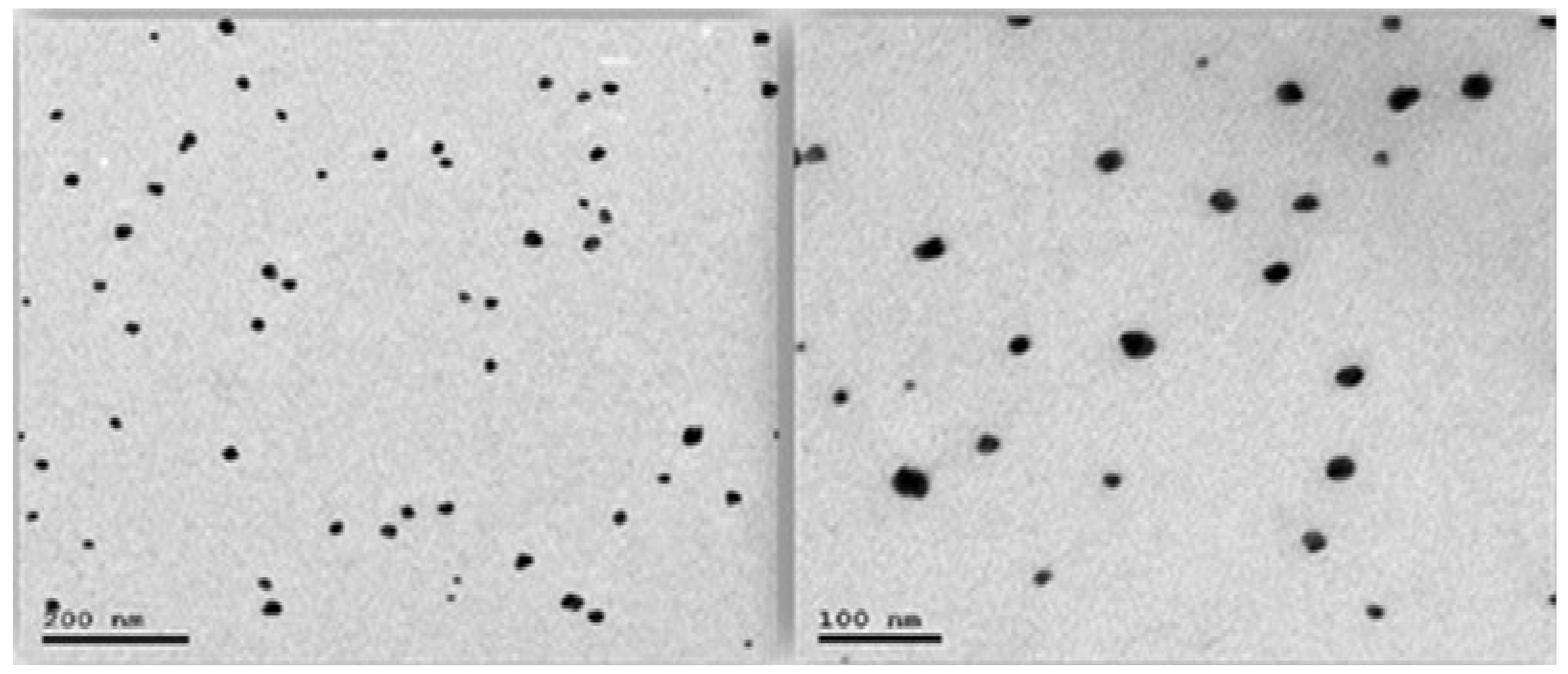 Pharmaceutics 16 00898 g008 Pharmaceutics 16 00898 g008