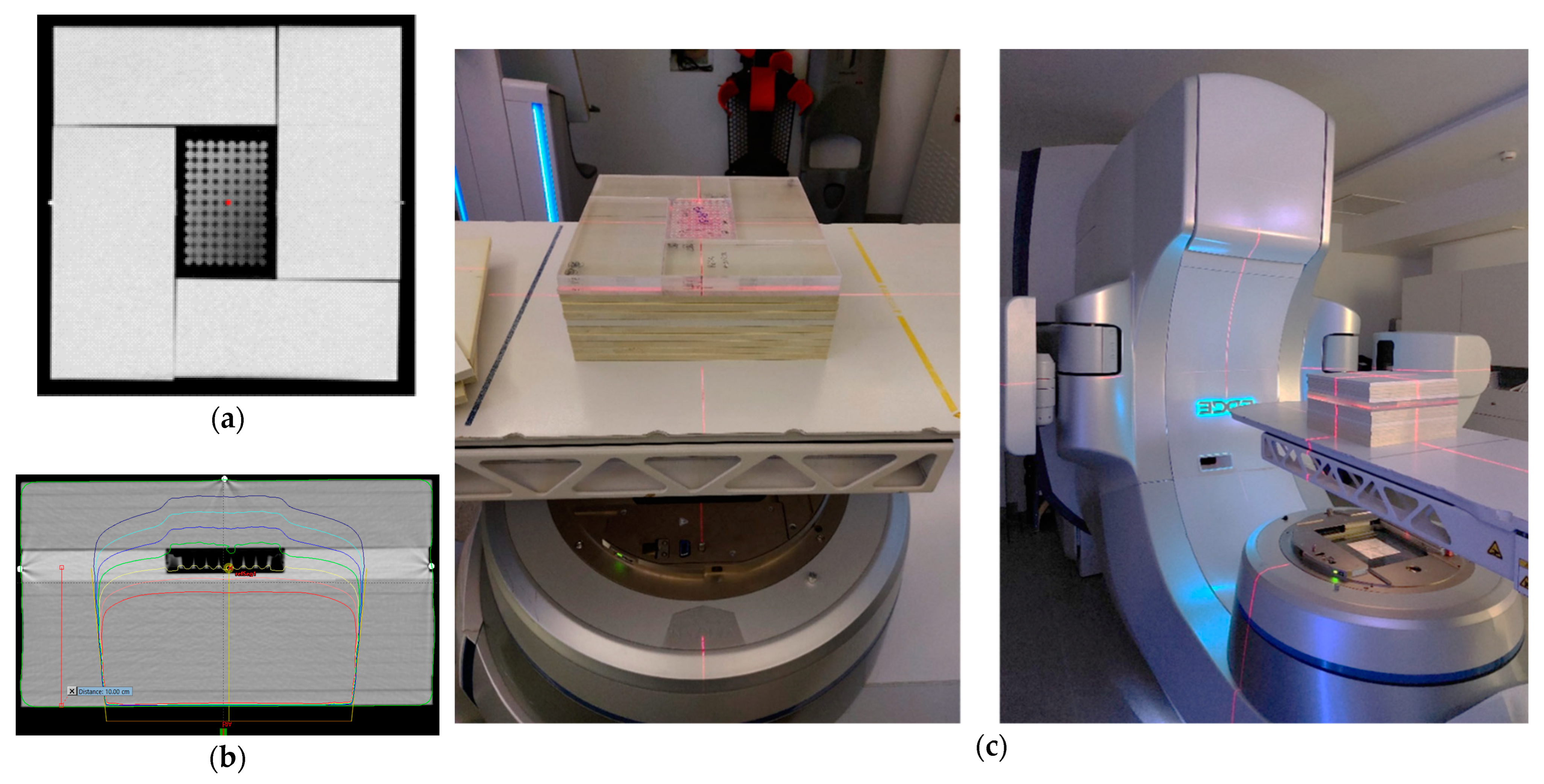 Pharmaceutics 16 00900 g001
