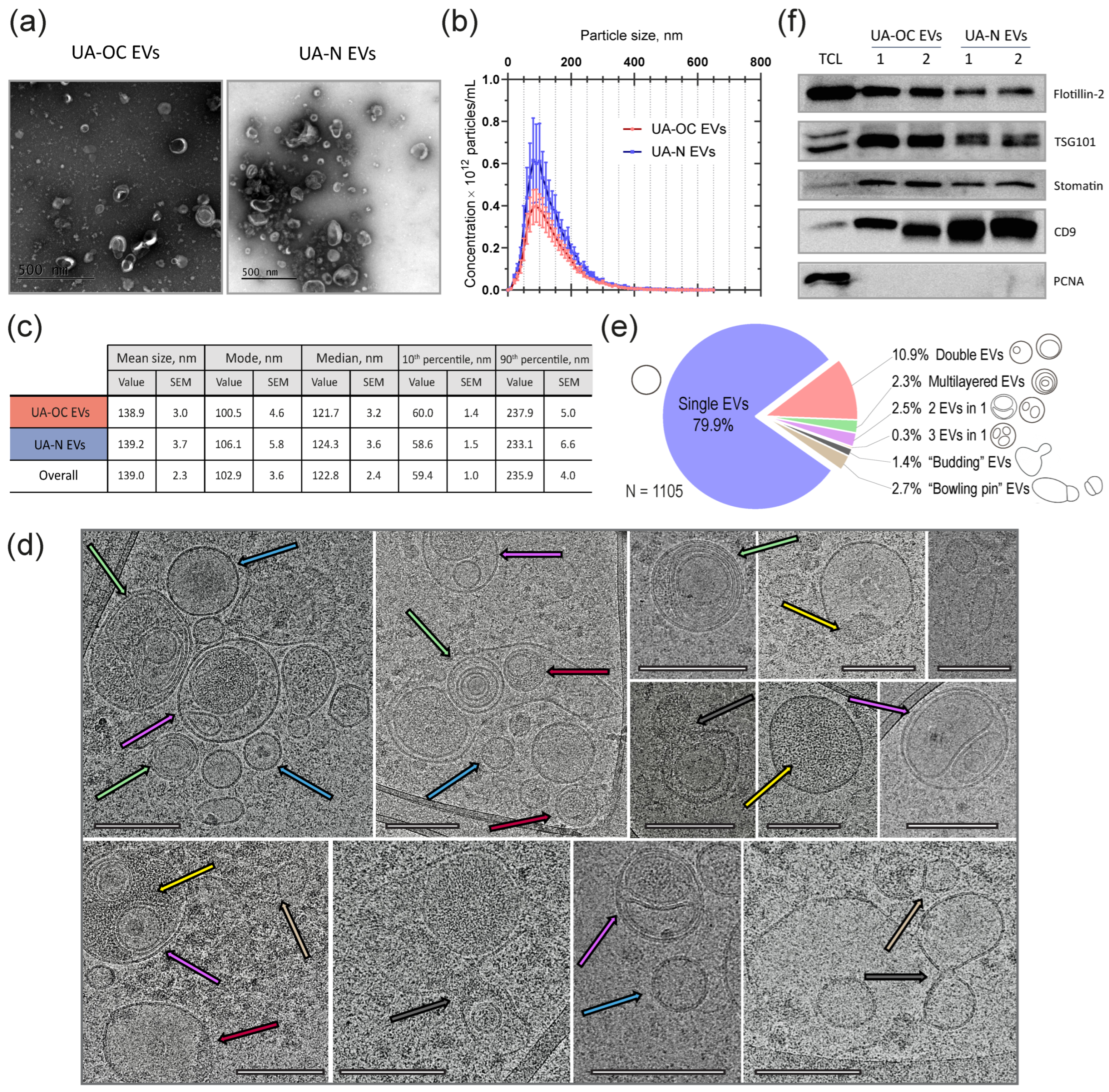 Pharmaceutics 16 00902 g002
