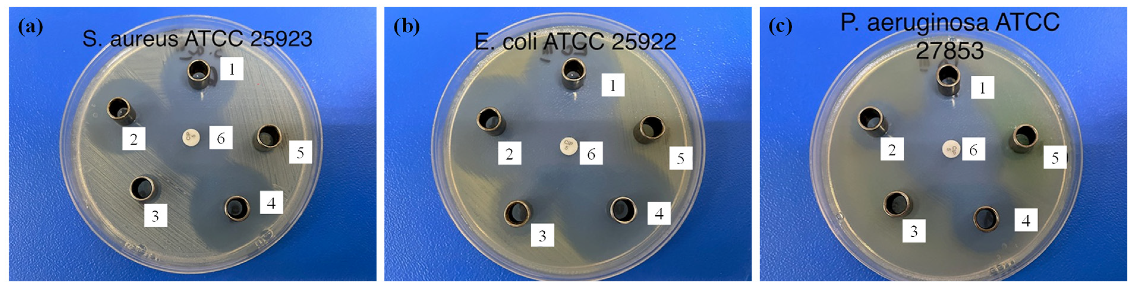 Pharmaceutics 16 00903 g009
