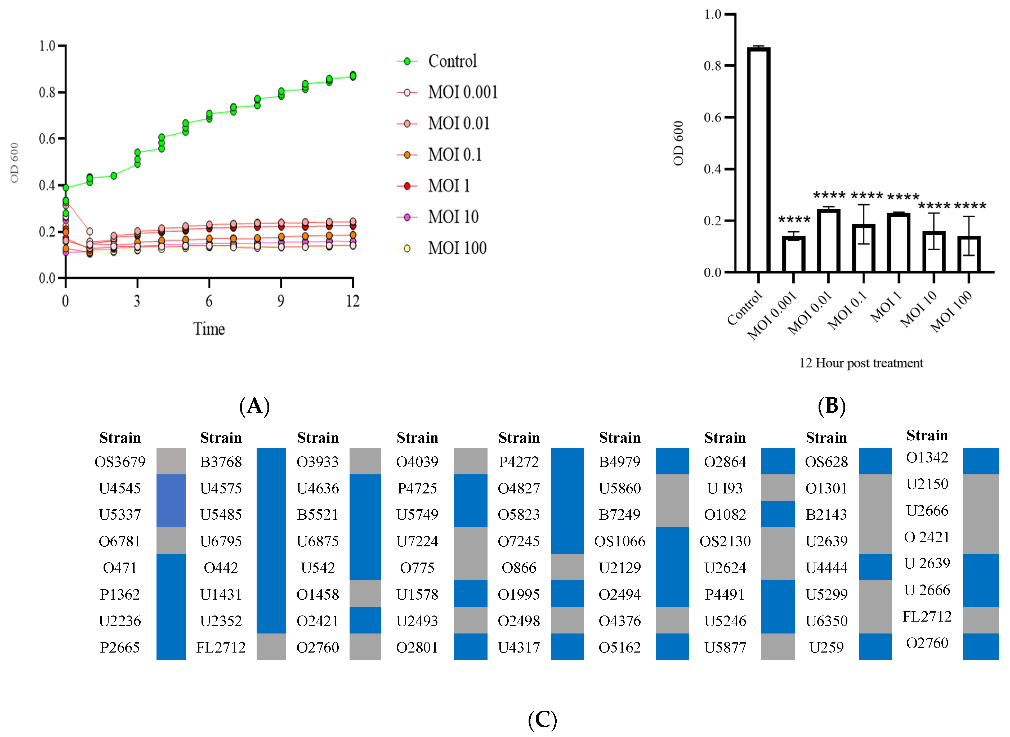 Pharmaceutics 16 00904 g002