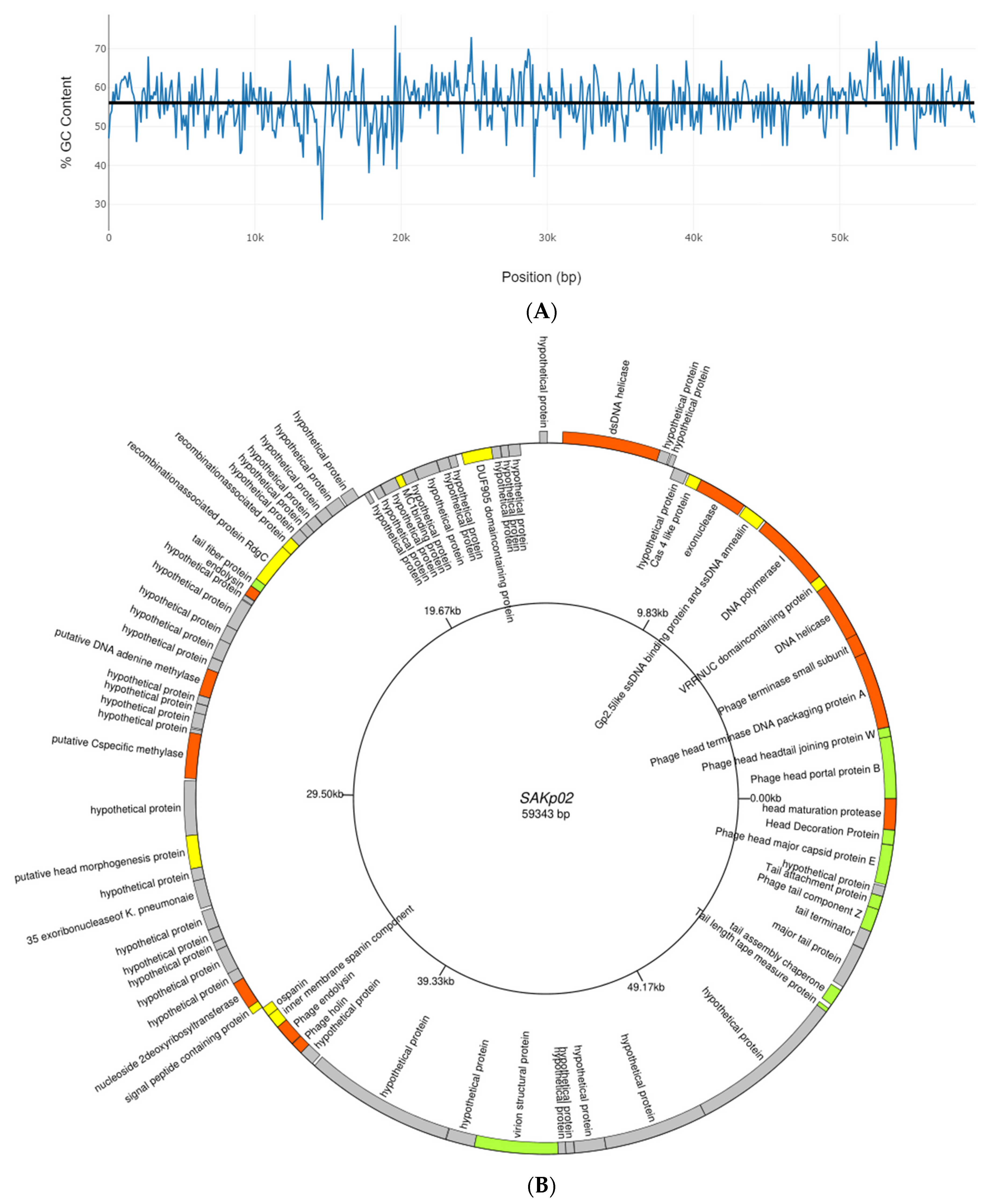 Pharmaceutics 16 00904 g004a