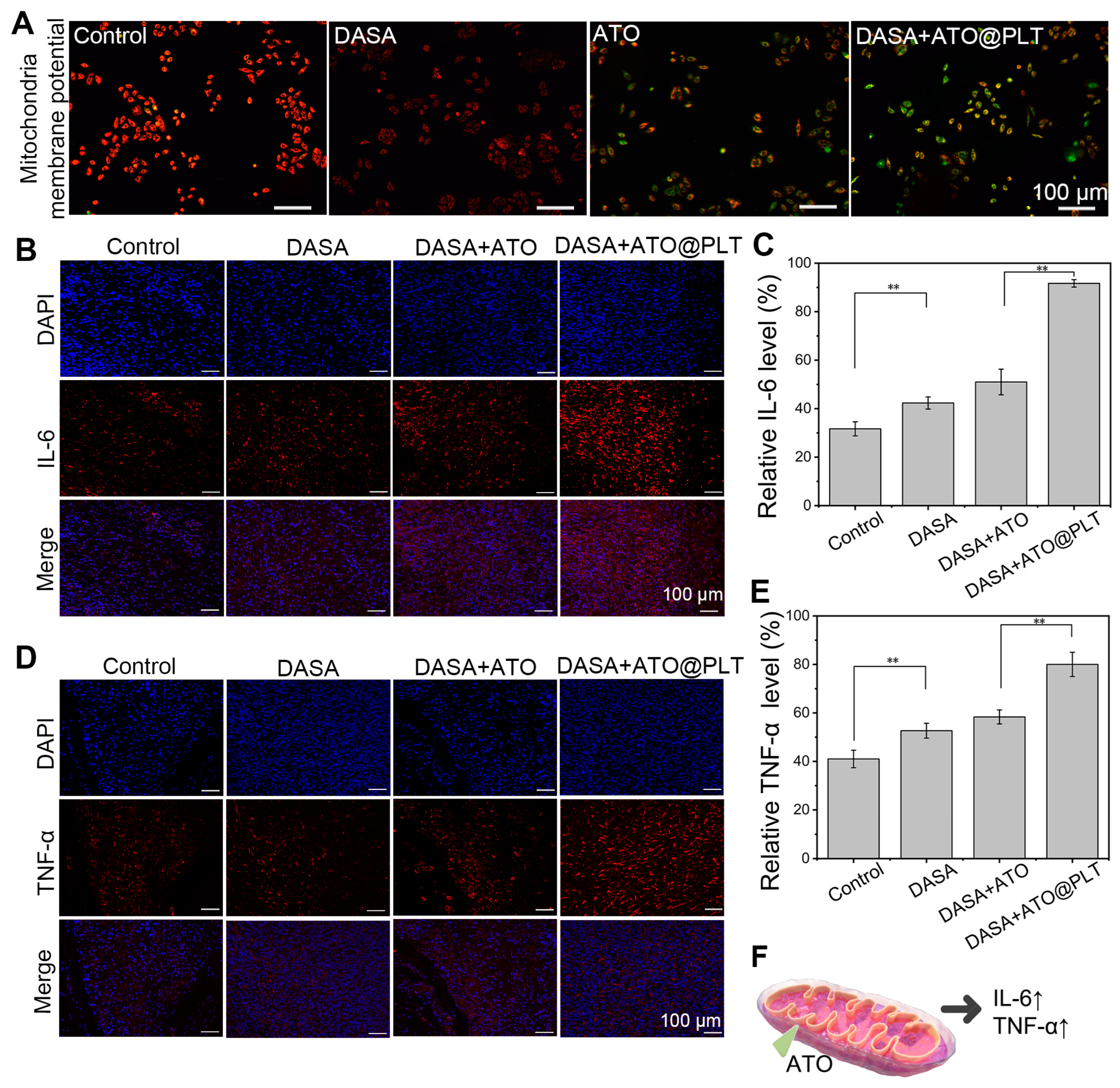 Pharmaceutics 16 00905 g003