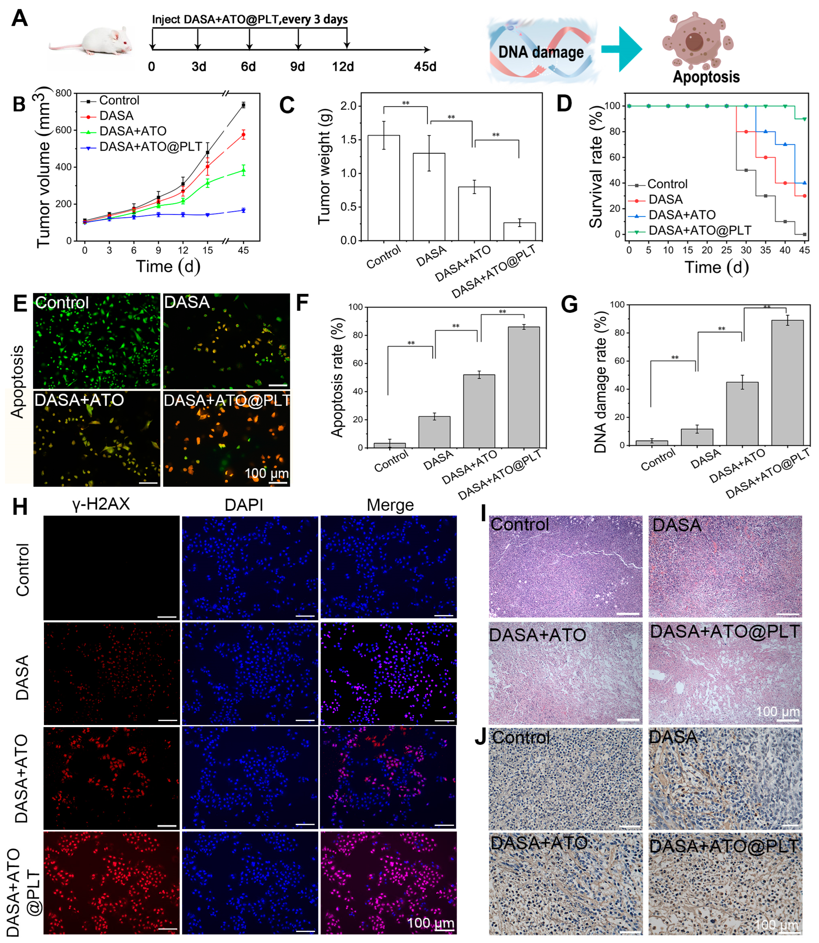 Pharmaceutics 16 00905 g004