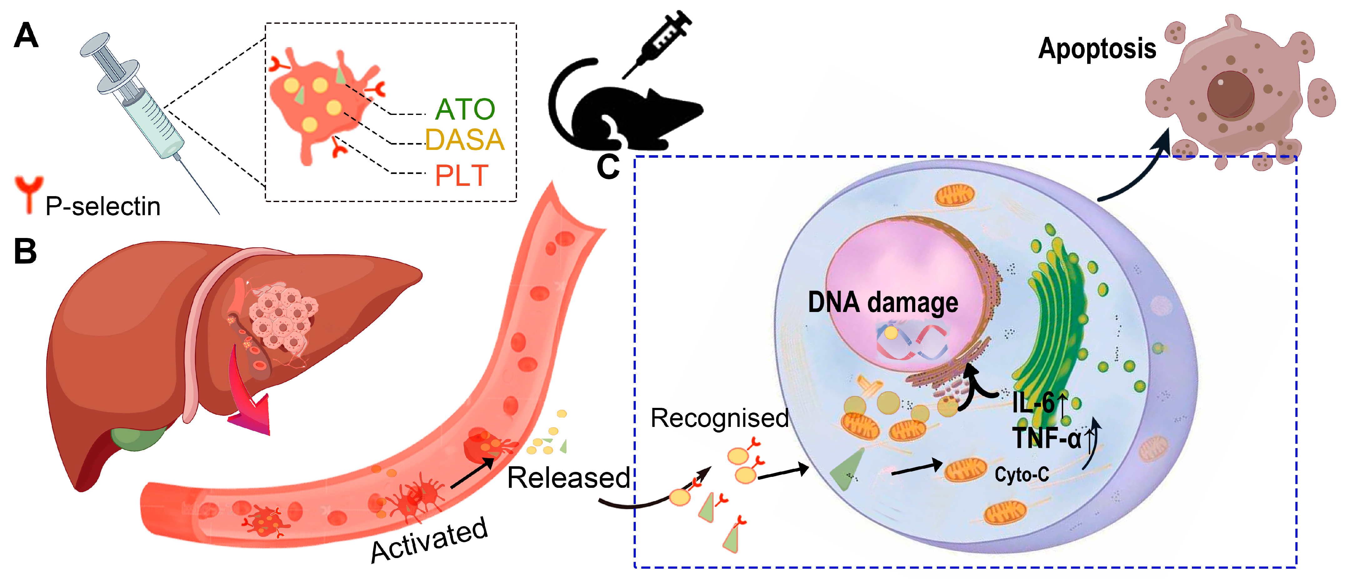 Pharmaceutics 16 00905 sch001
