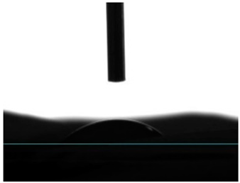 Pharmaceutics 16 00911 i002