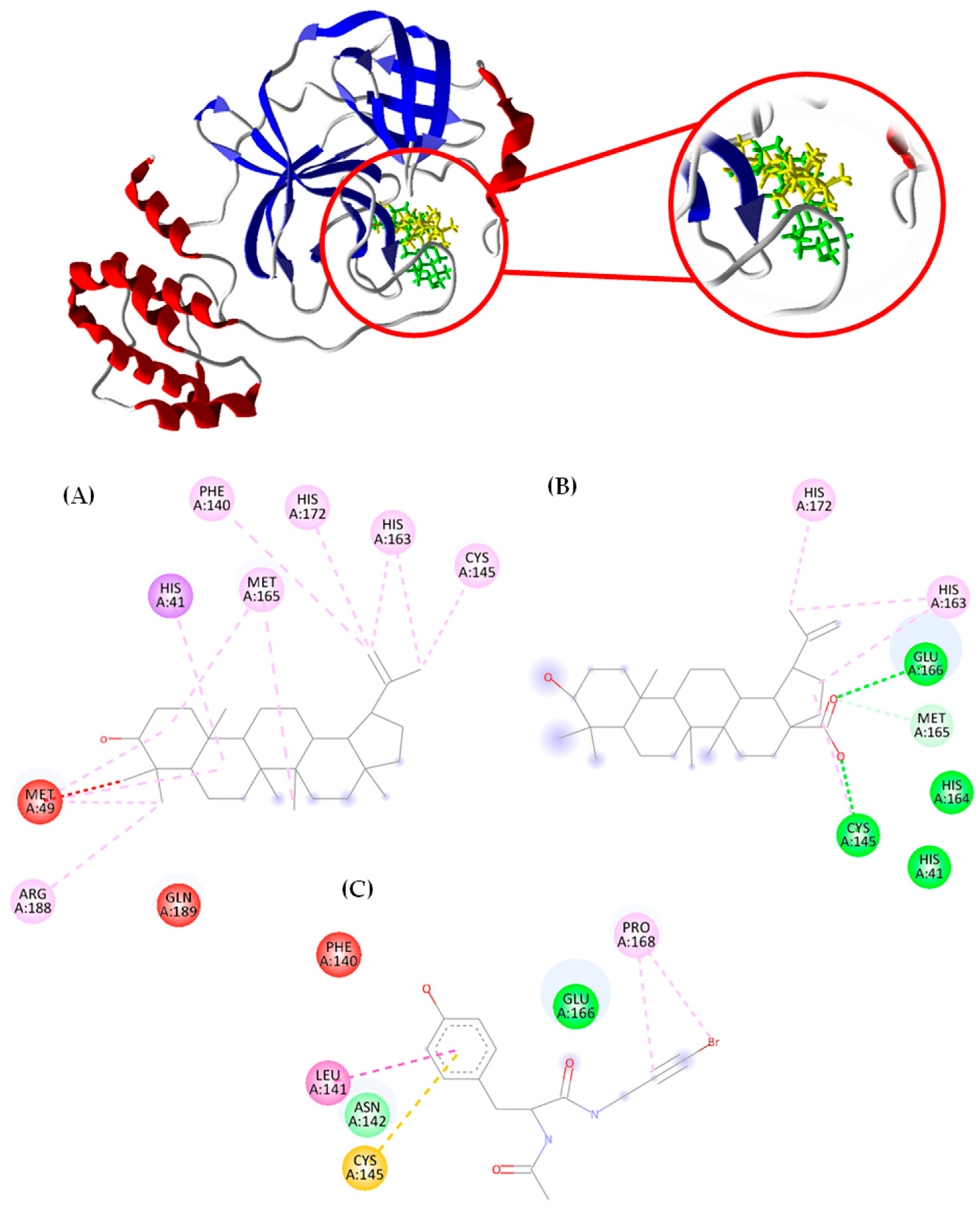 Pharmaceutics 16 00912 g002