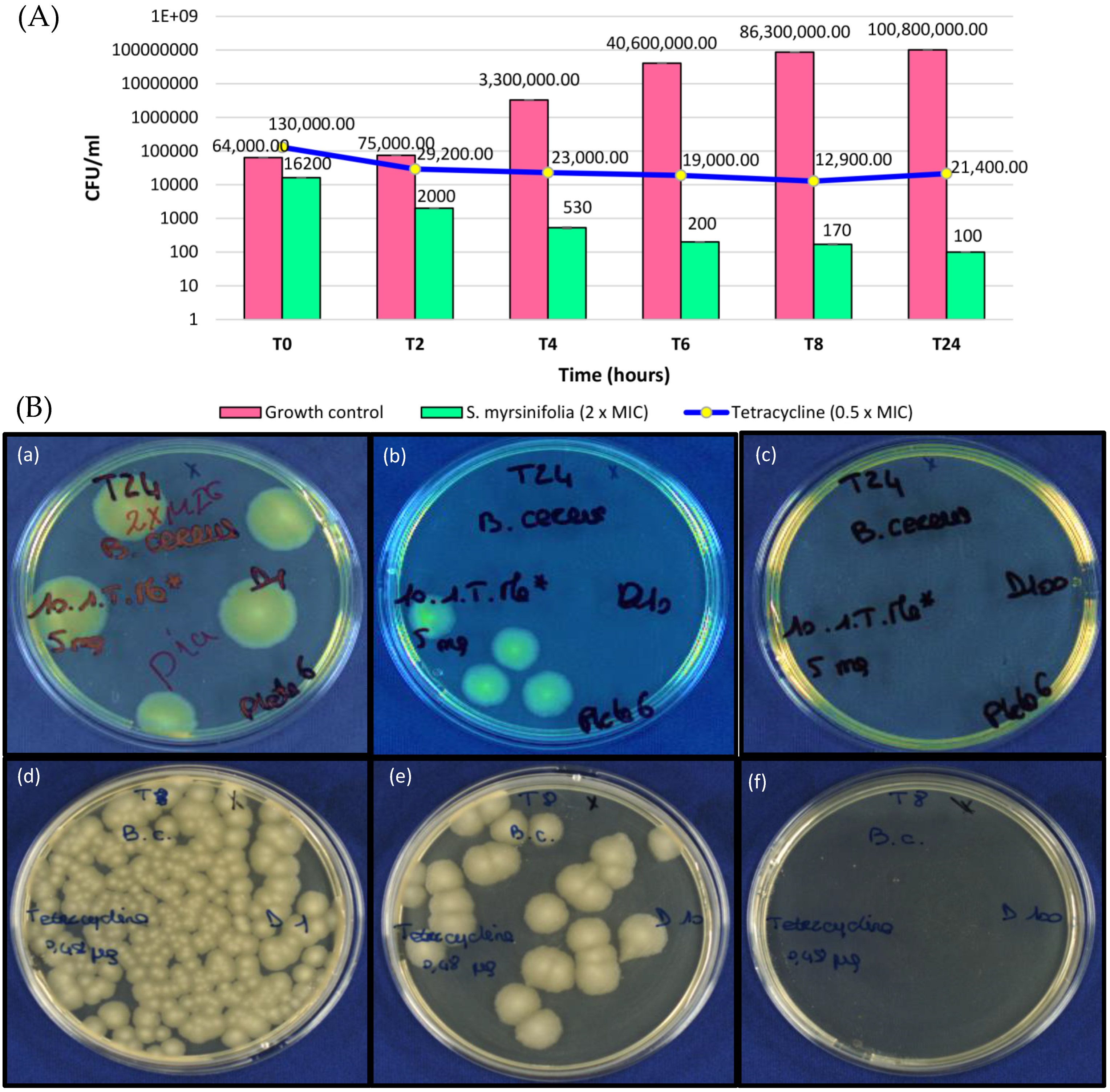 Pharmaceutics 16 00916 g005