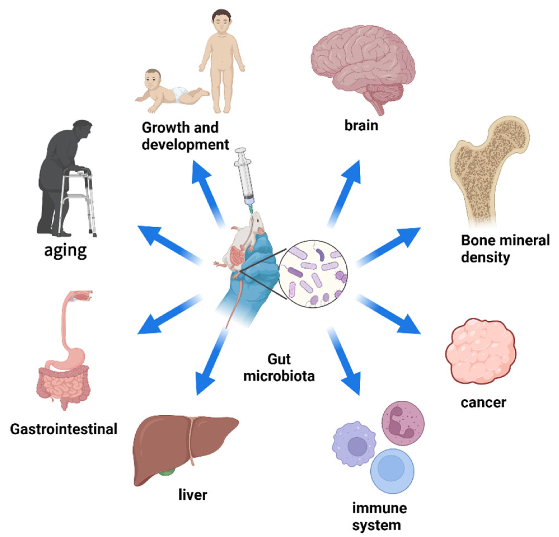 Pharmaceutics 16 00921 g001 Pharmaceutics 16 00921 g001