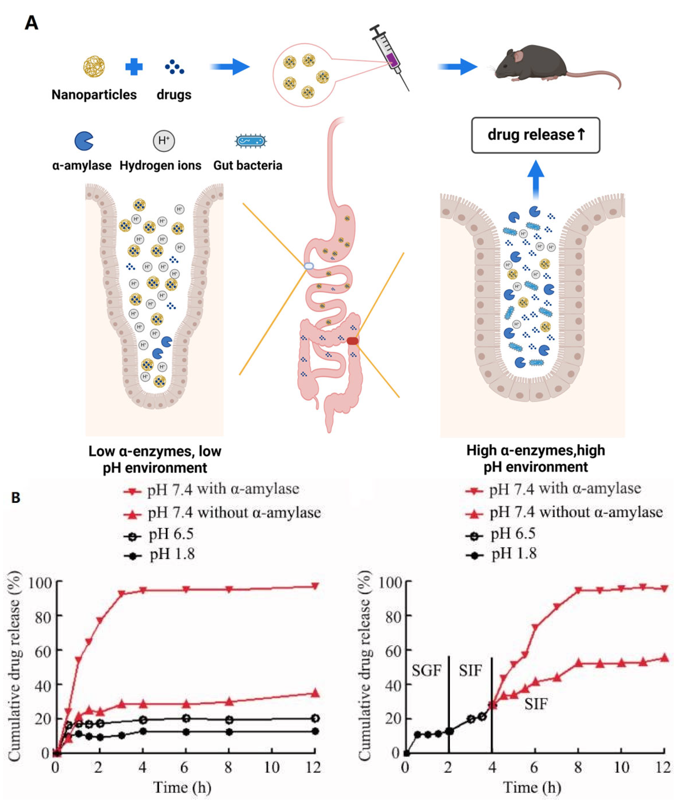 Pharmaceutics 16 00921 g003 Pharmaceutics 16 00921 g003