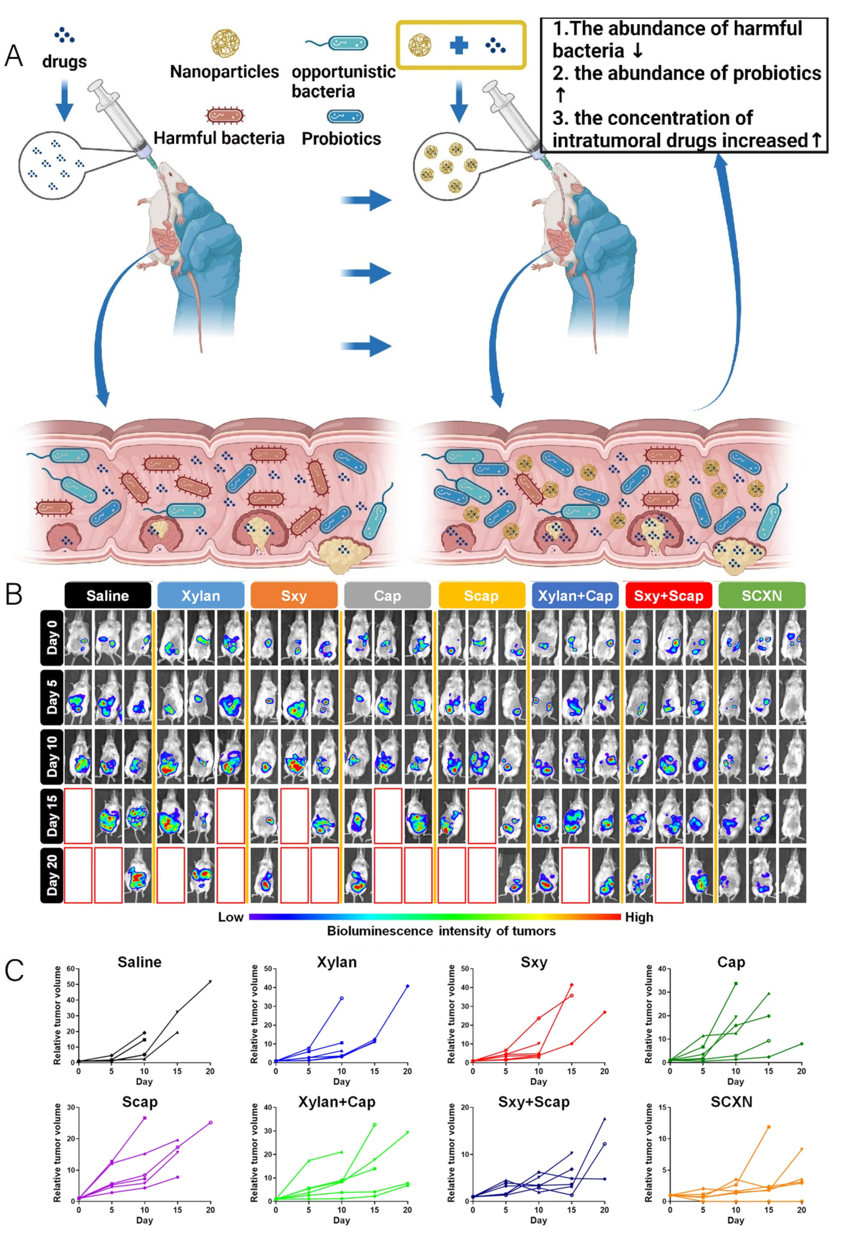 Pharmaceutics 16 00921 g010 Pharmaceutics 16 00921 g010