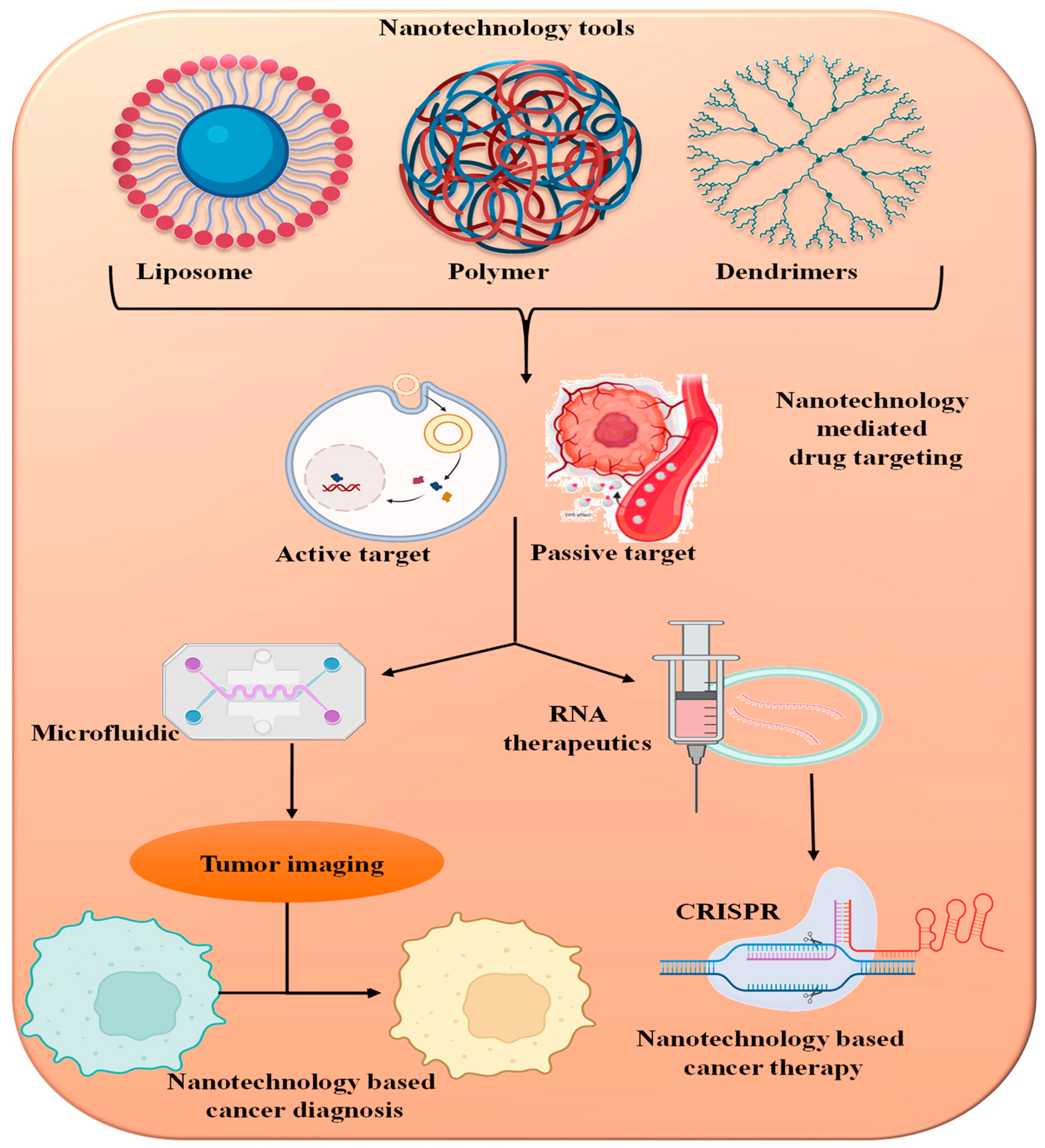 Pharmaceutics 16 00923 g002