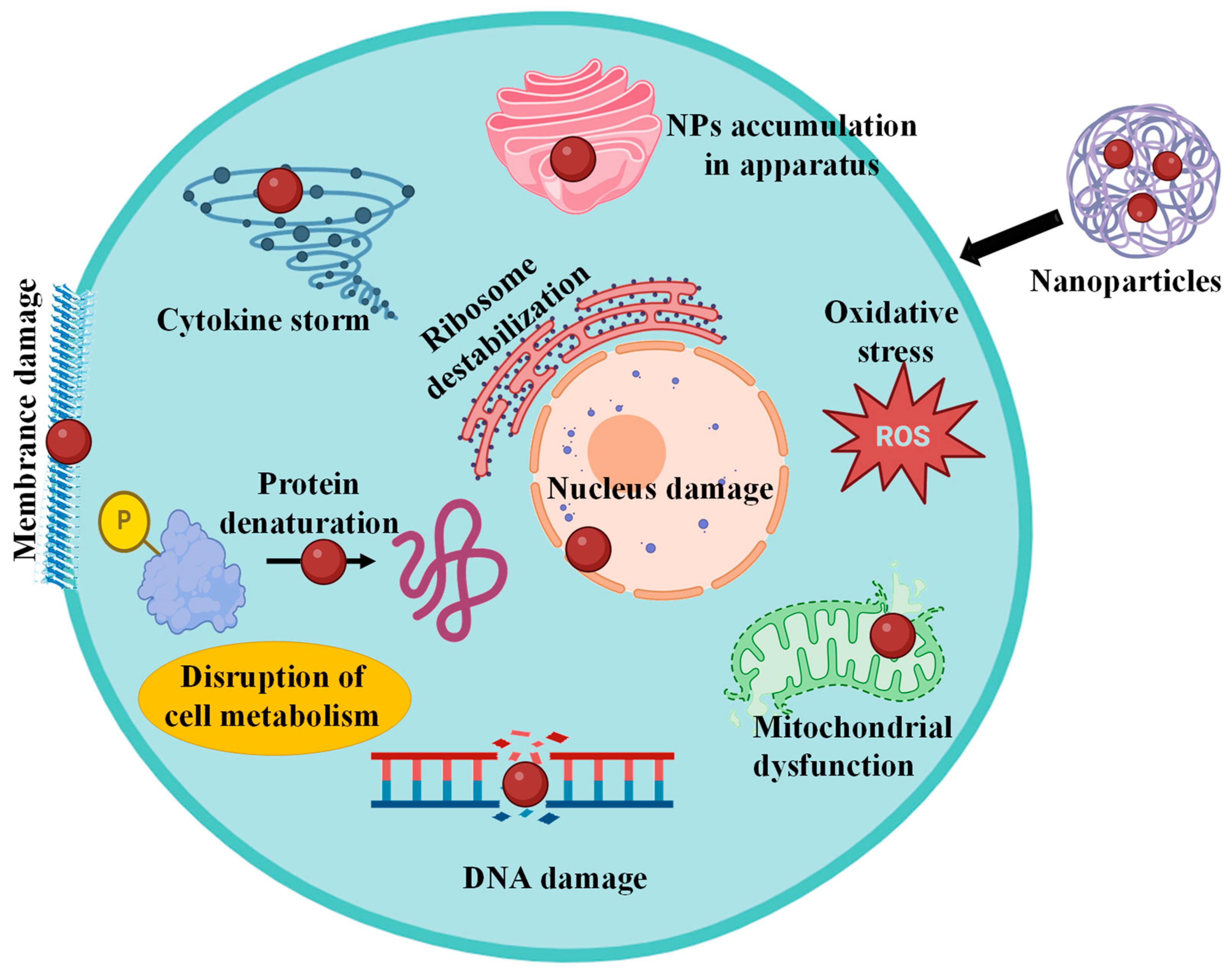 Pharmaceutics 16 00923 g003