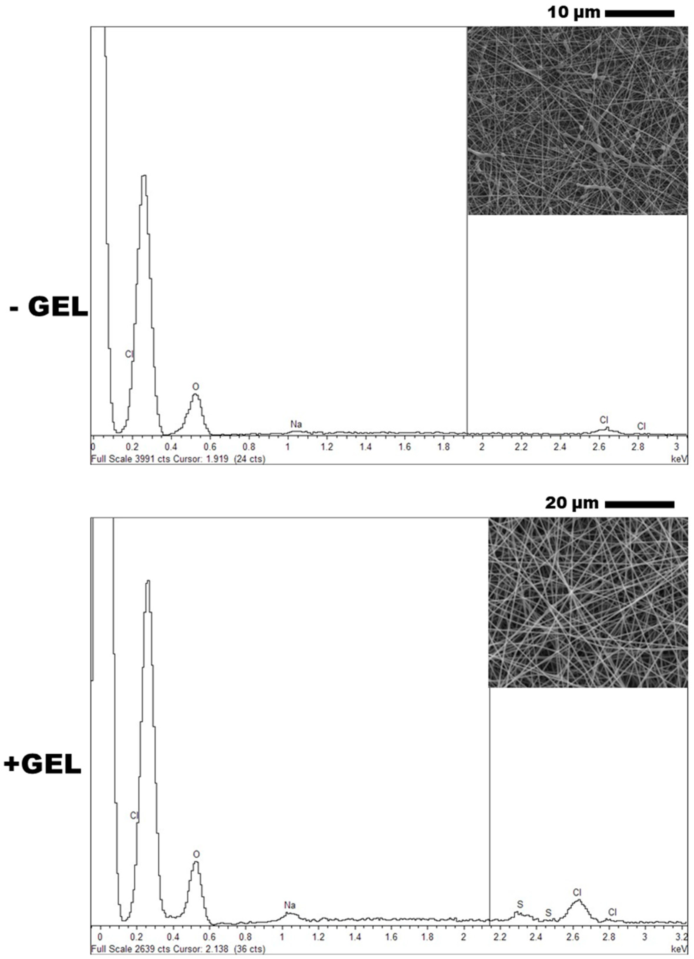 Pharmaceutics 16 00925 g002