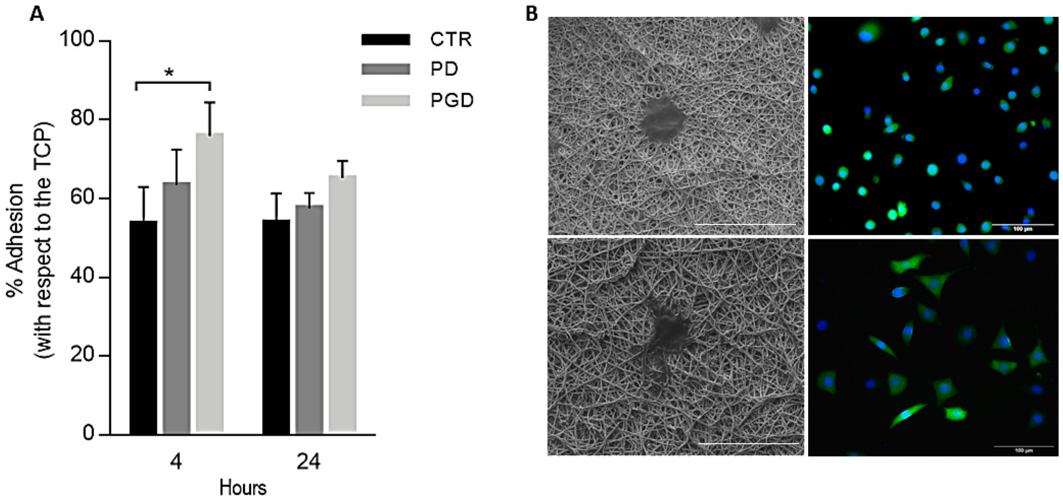 Pharmaceutics 16 00925 g005