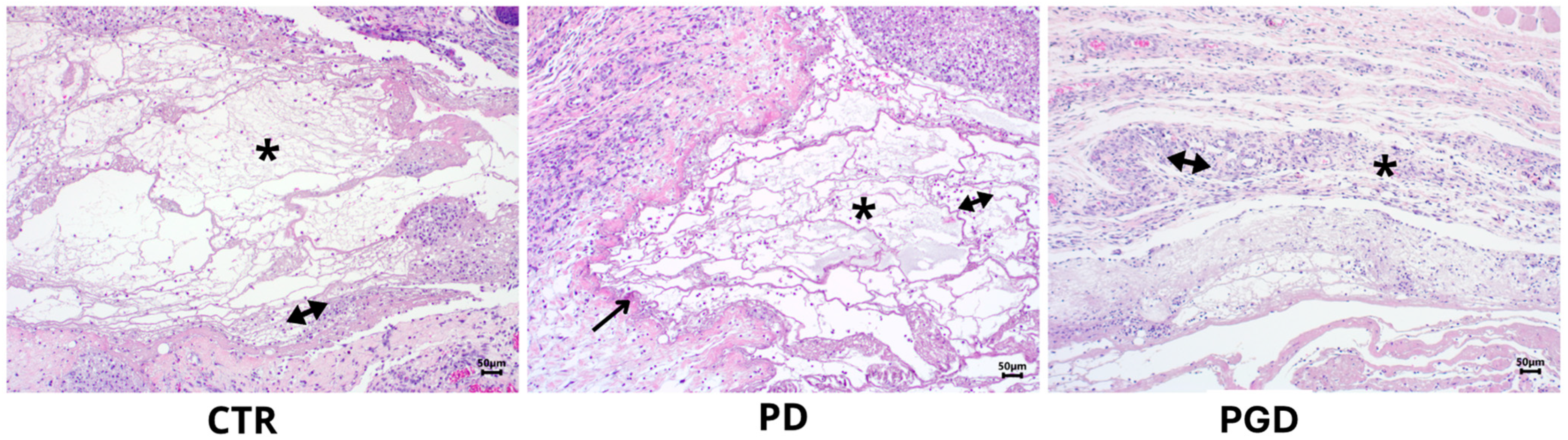 Pharmaceutics 16 00925 g007