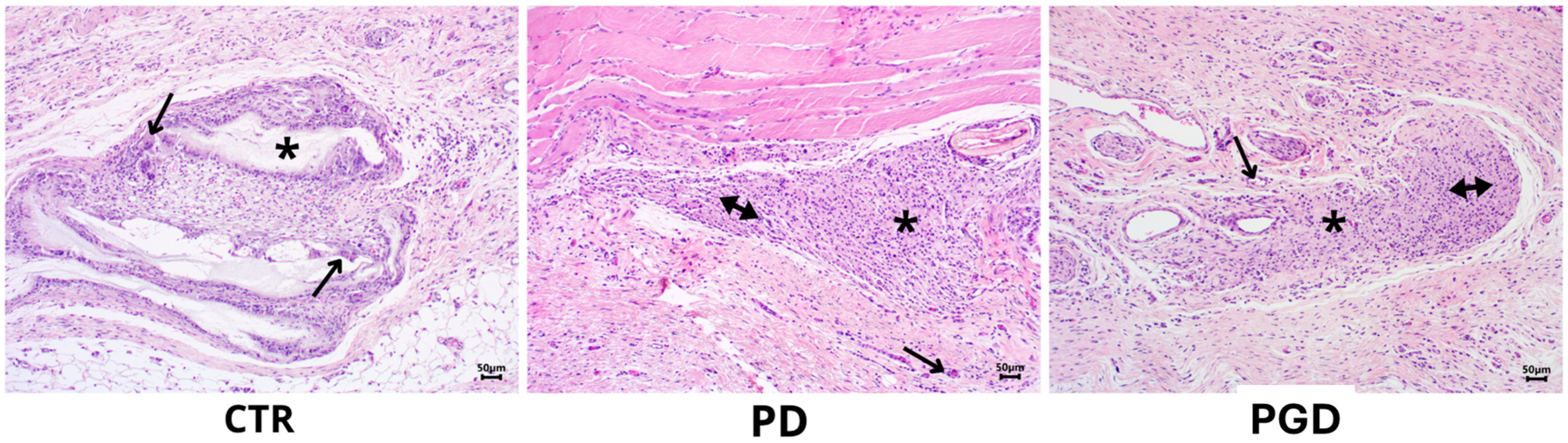 Pharmaceutics 16 00925 g008